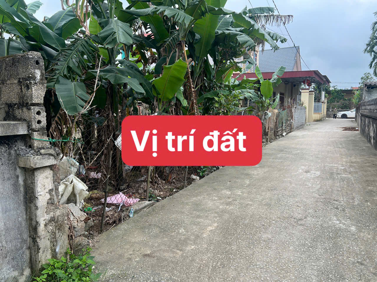 Đất Thọ Thế 230m² full thổ cư - mặt tiền 8m - đường ô tô thông - giá chỉ nhỉnh 5xx