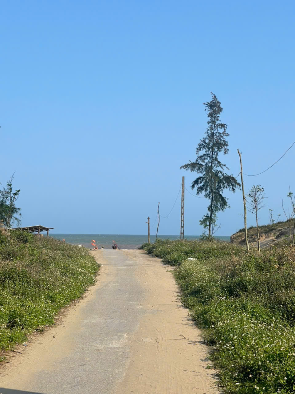 Đất Quảng Hải Quảng Xương 260m2 mặt tiền 8m gần biển chỉ hơn 3 tỷ