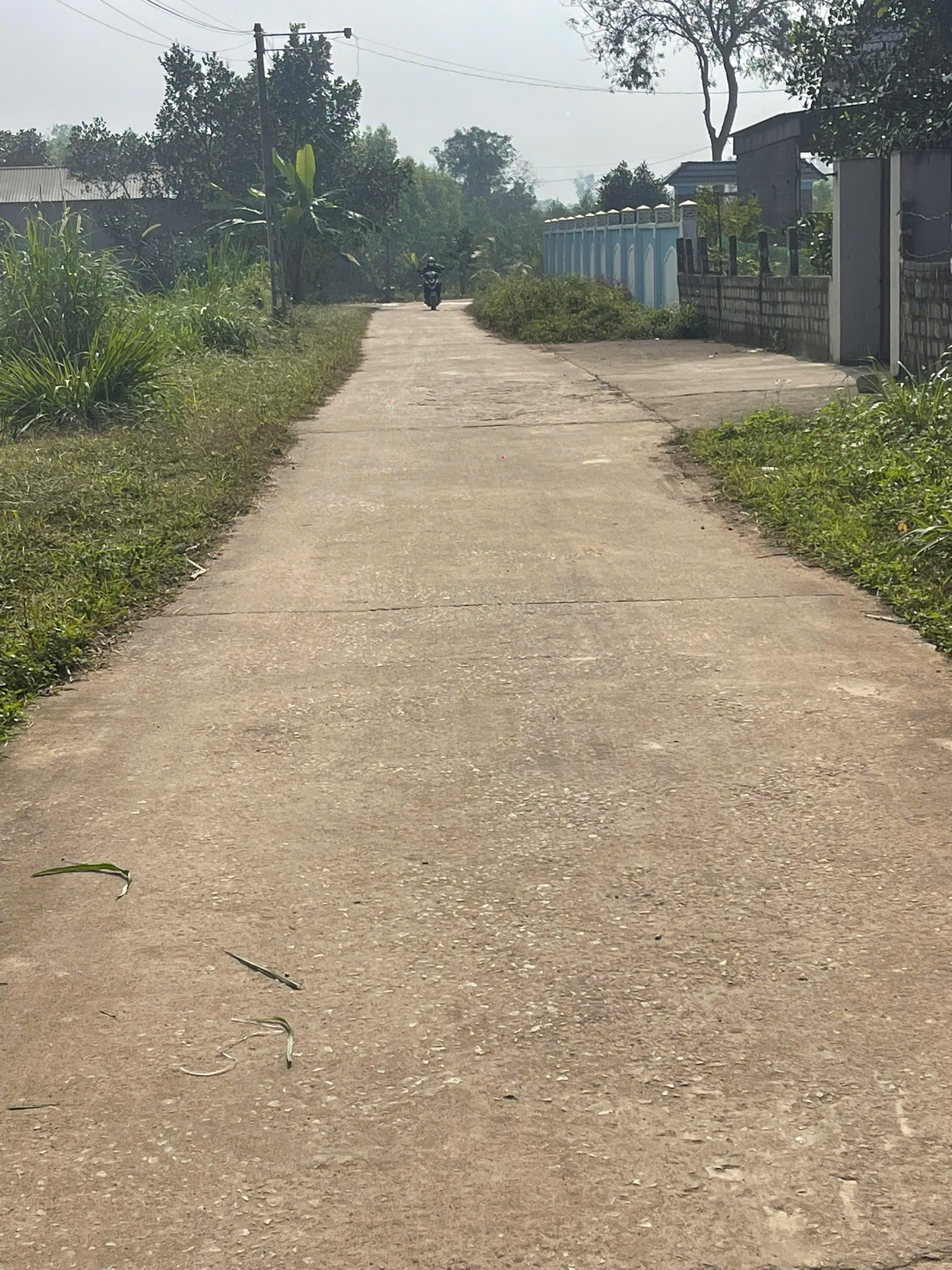 Đất Thọ Sơn Triệu Sơn 121m2 - gần kcn 537ha, mt 5m, giá chỉ hơn 400 triệu