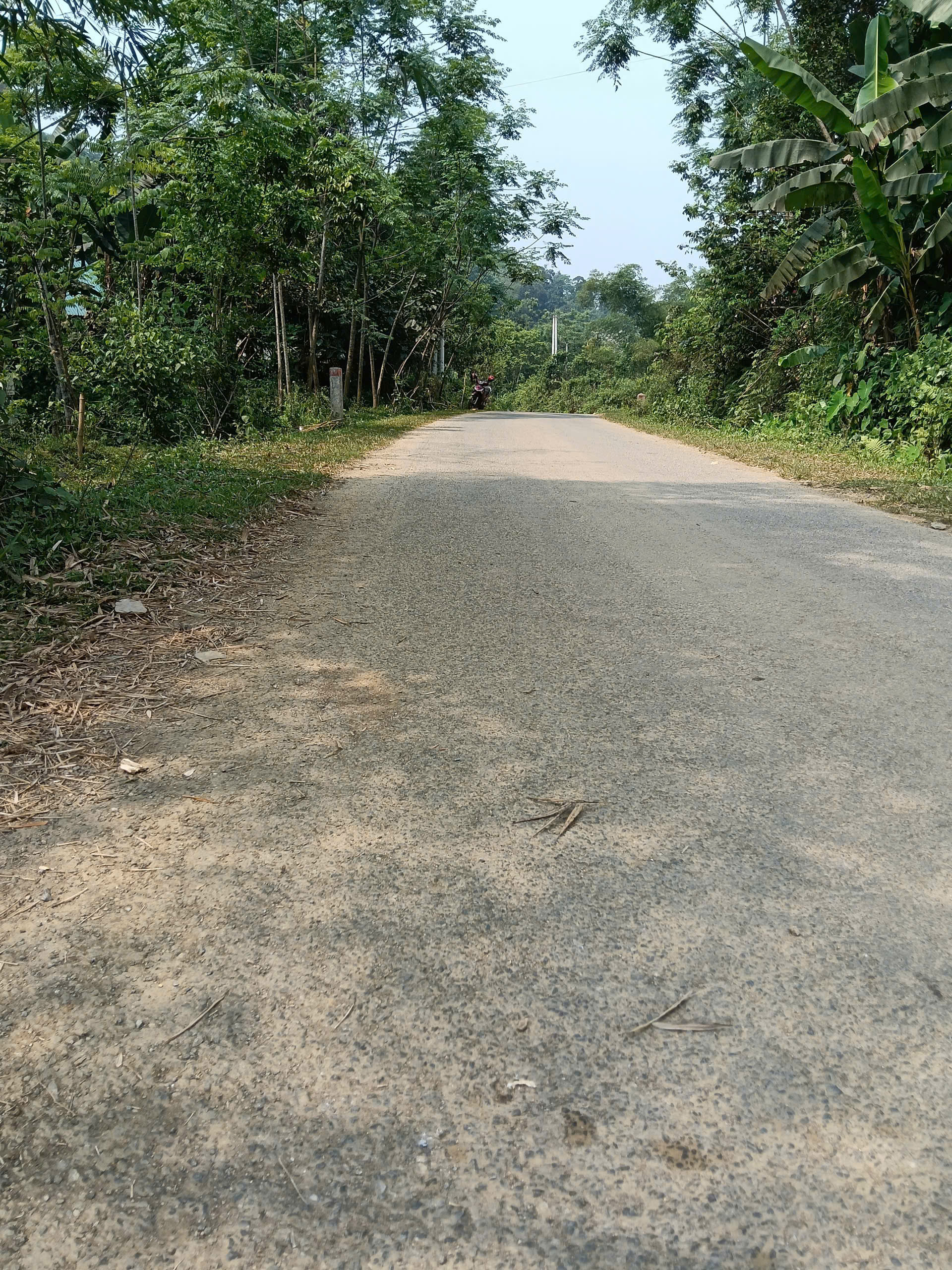 Bán đất Điền Quang Bá Thước 1200m2 - 750m2 đất ở, view suối, mặt đường 30m giá 790 triệu