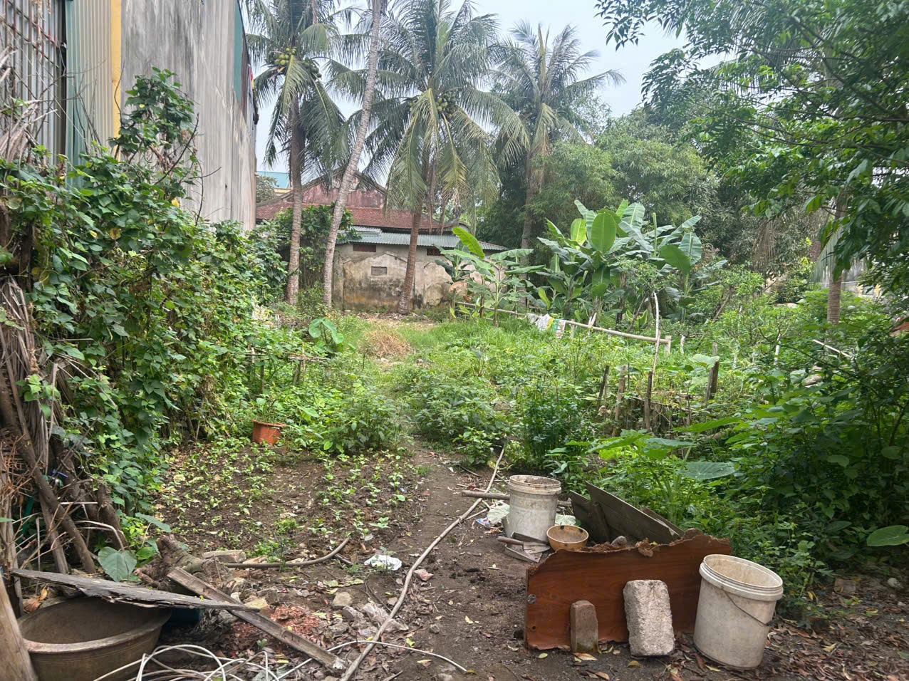 Bán đất nam ngạn 85,6m² - cách Trần Hưng Đạo 50m - gần Heragon City - giá chỉ hơn 1 tỷ