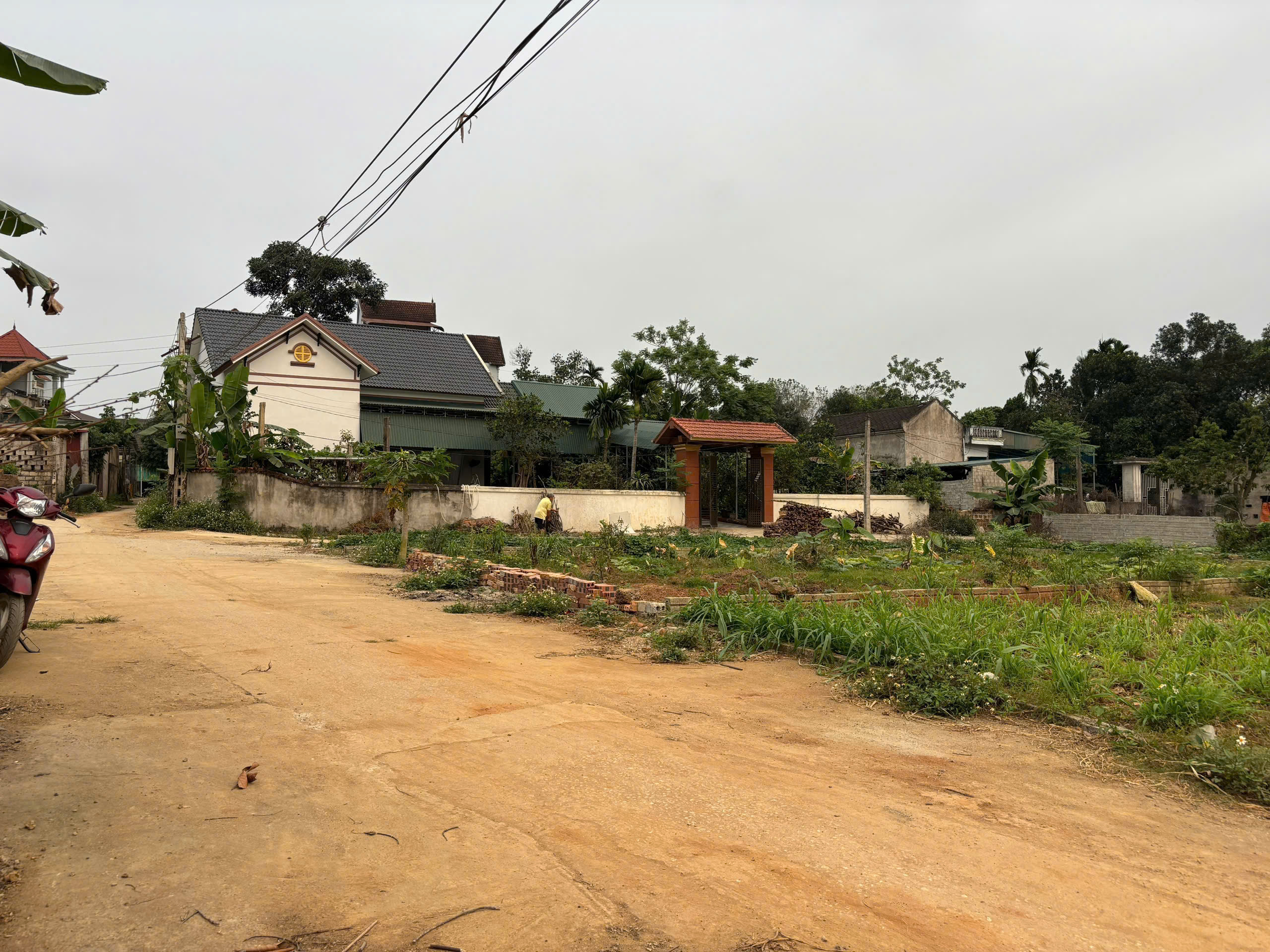 Đất 96,8m² full thổ cư 2 mặt tiền Thọ Phú - Triệu Sơn, giá chỉ 3xx triệu