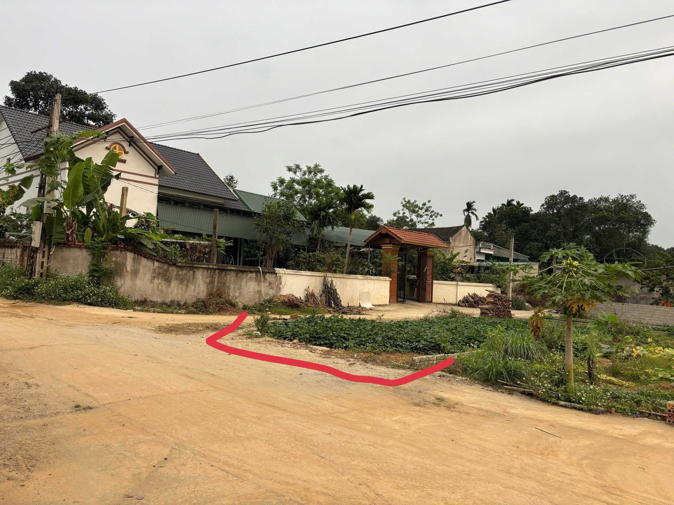 Đất 96,8m² full thổ cư 2 mặt tiền Thọ Phú - Triệu Sơn, giá chỉ 3xx triệu