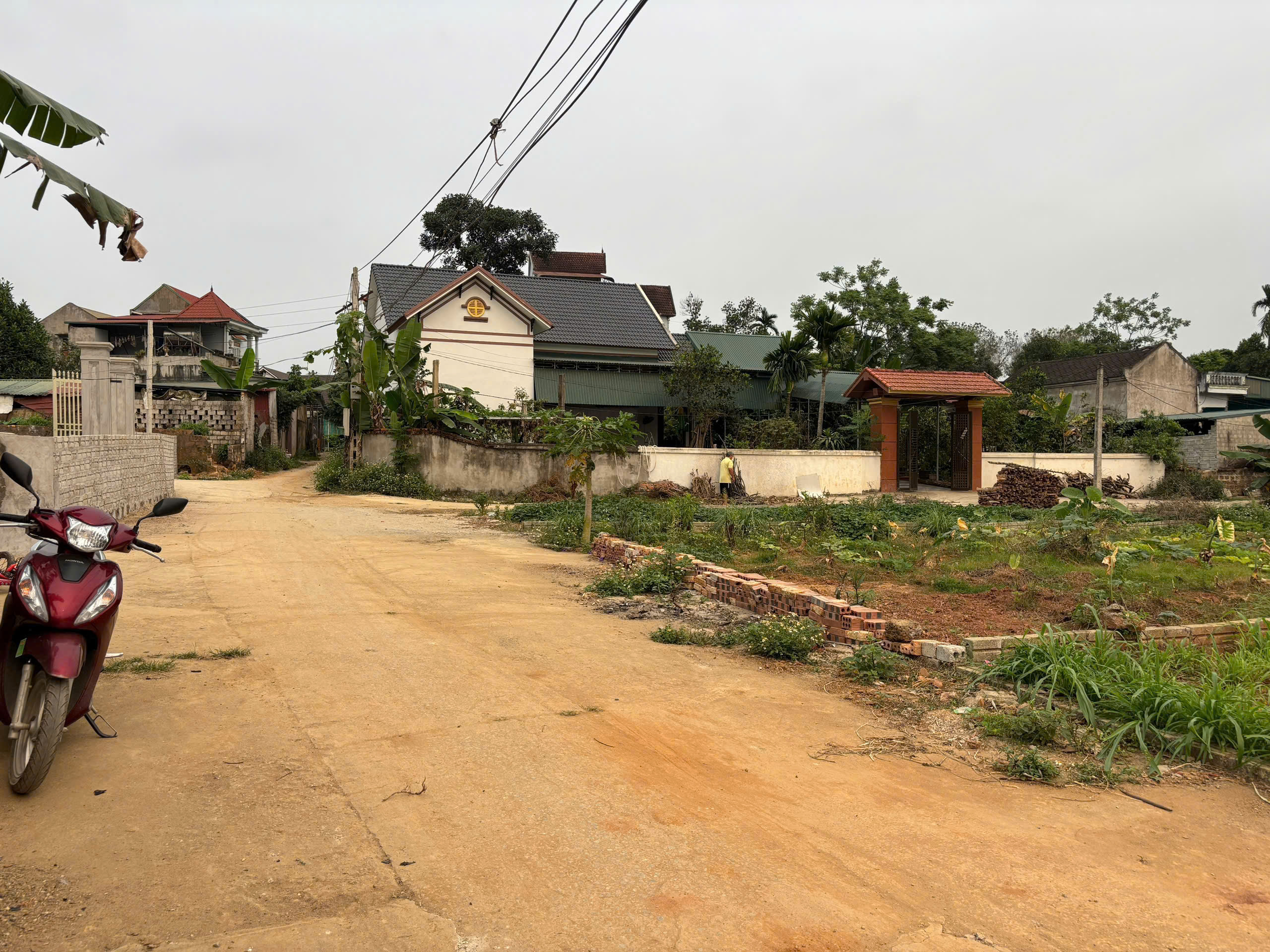 Đất 96,8m² full thổ cư 2 mặt tiền Thọ Phú - Triệu Sơn, giá chỉ 3xx triệu