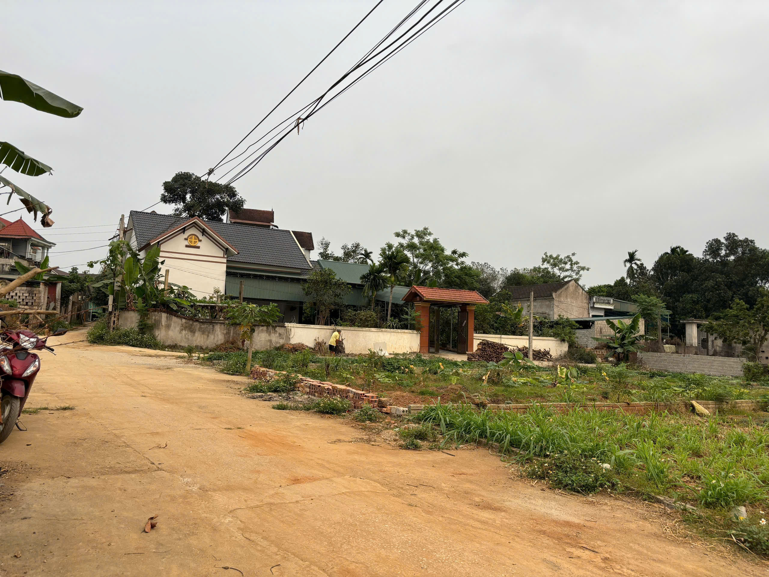 Đất 96,8m² full thổ cư 2 mặt tiền Thọ Phú - Triệu Sơn, giá chỉ 3xx triệu