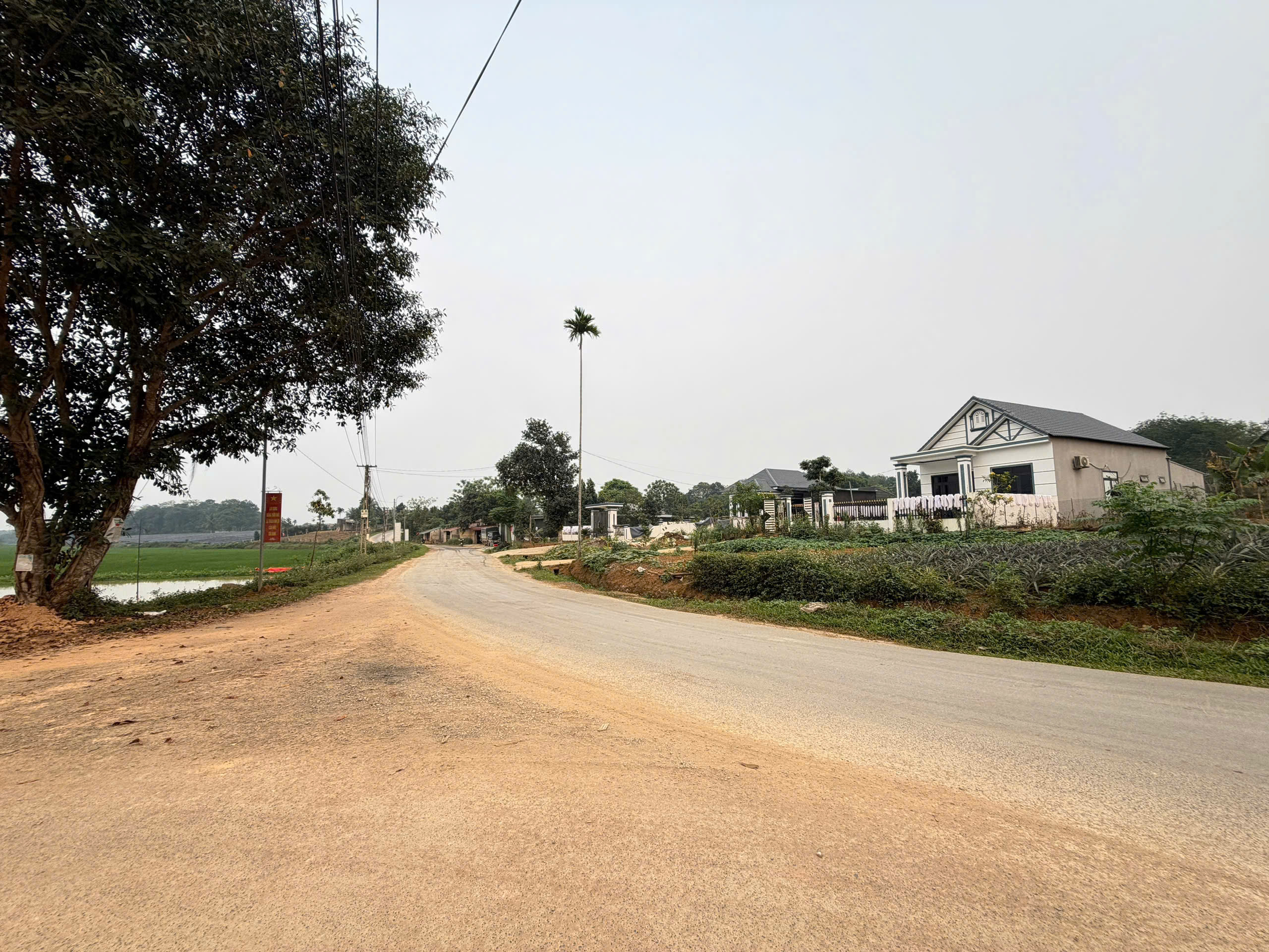 Đất Minh Tiến Ngọc Lặc 126.3m² mặt tiền 5m giá chỉ 3xx - sát cụm công nghiệp, đường nhựa liên xã