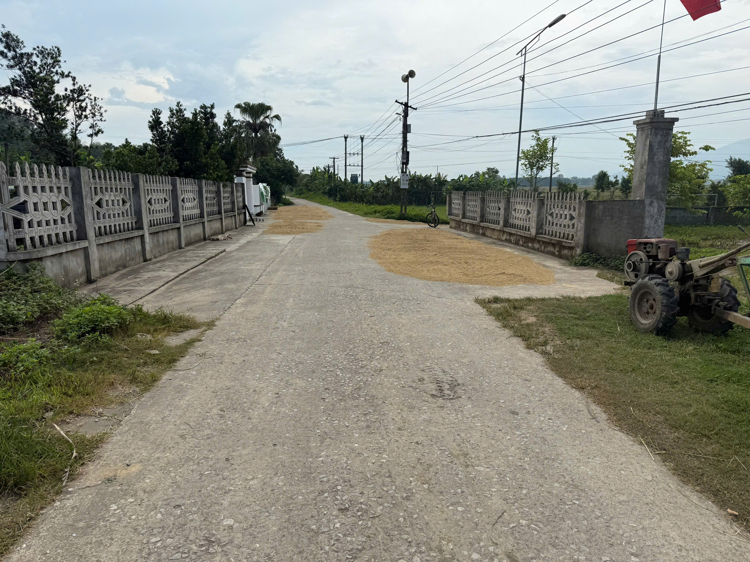 Bán đất Hợp Thắng Triệu Sơn 125m2 full thổ cư gần cụm công nghiệp giá 3xx triệu