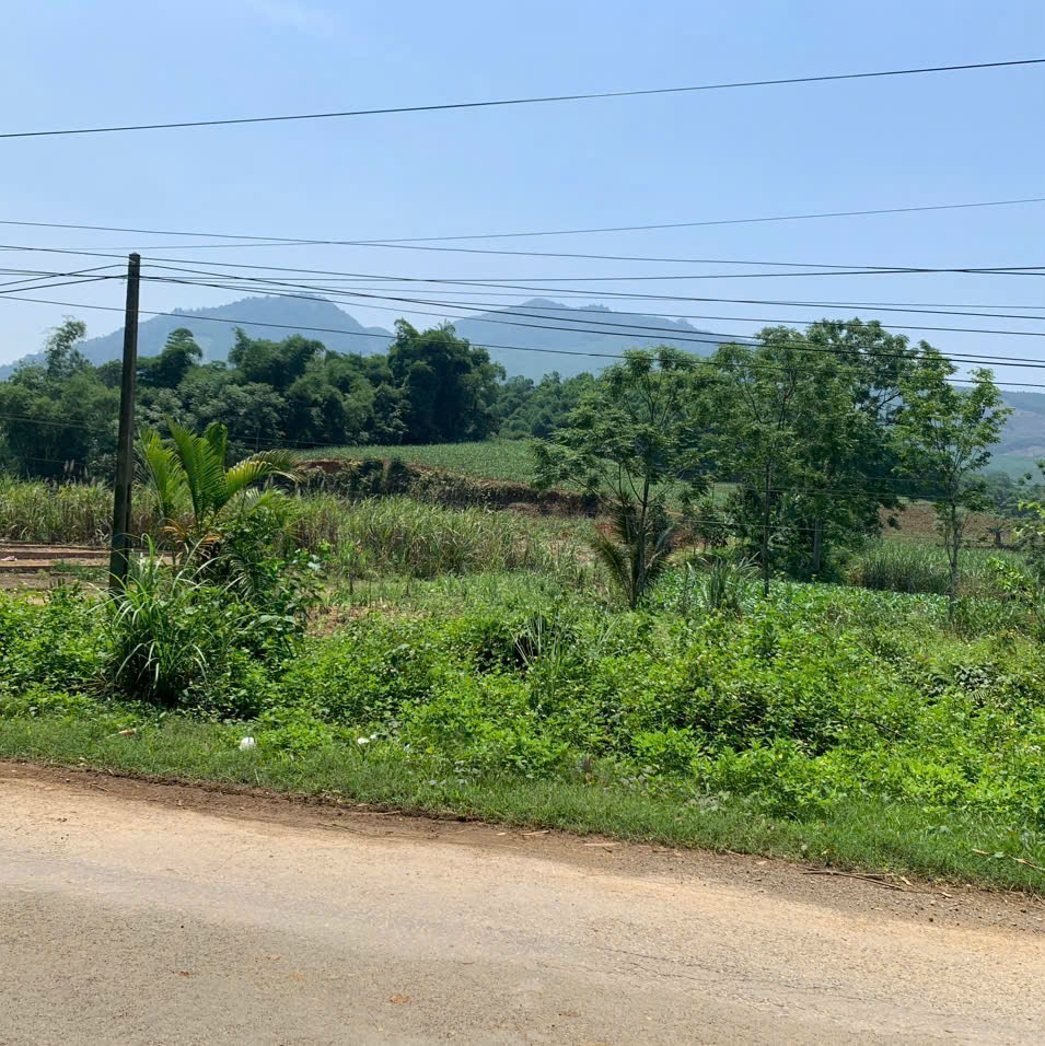 Đất bám trục chính QL 47 Thường Xuân - 143,5m², mặt tiền 5m - giá chỉ 2xx triệu