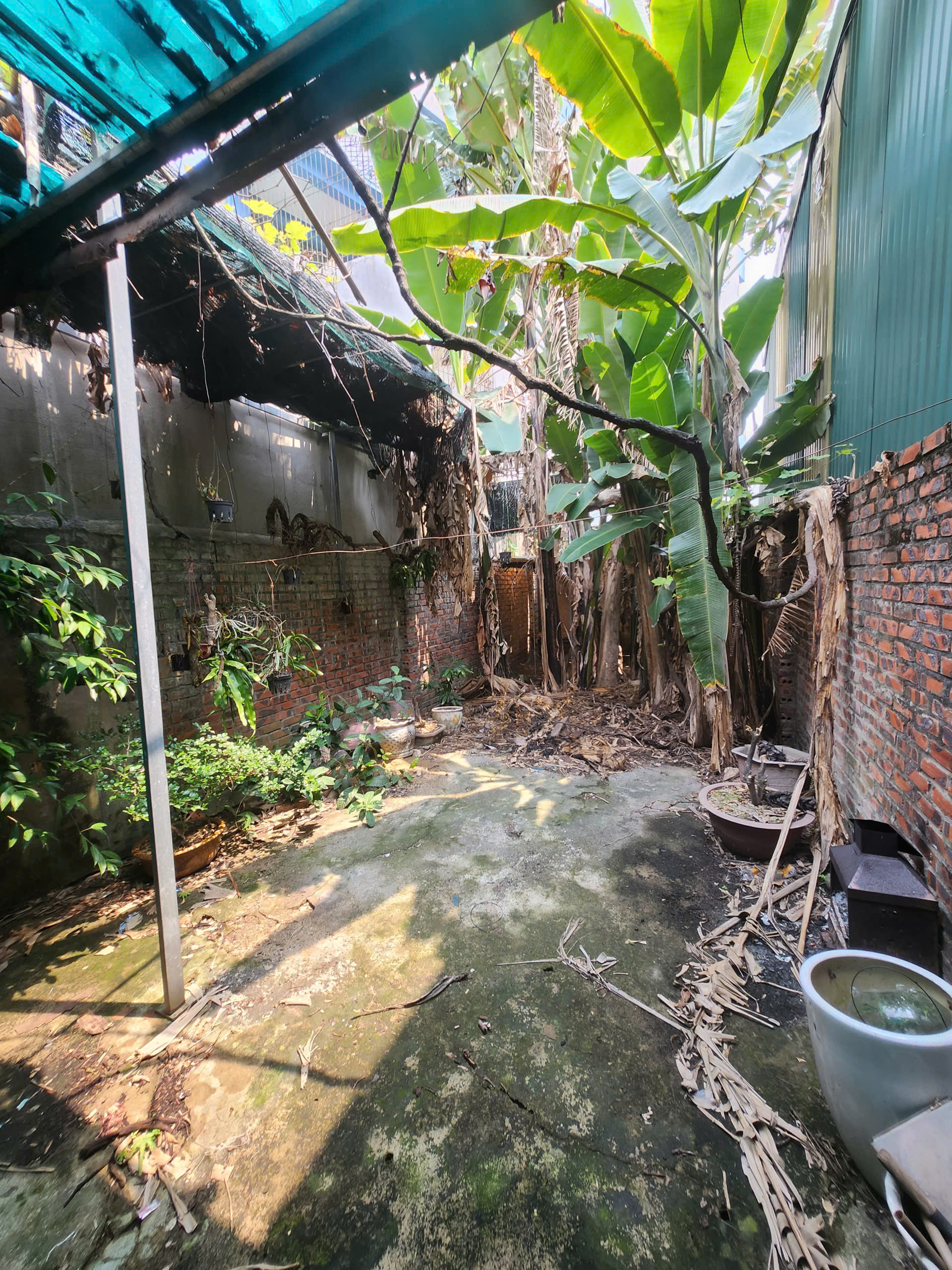 Bán đất tặng nhà cấp 4 125,7m² gần Chợ Vườn Hoa - mt 4,1m - kinh doanh tốt