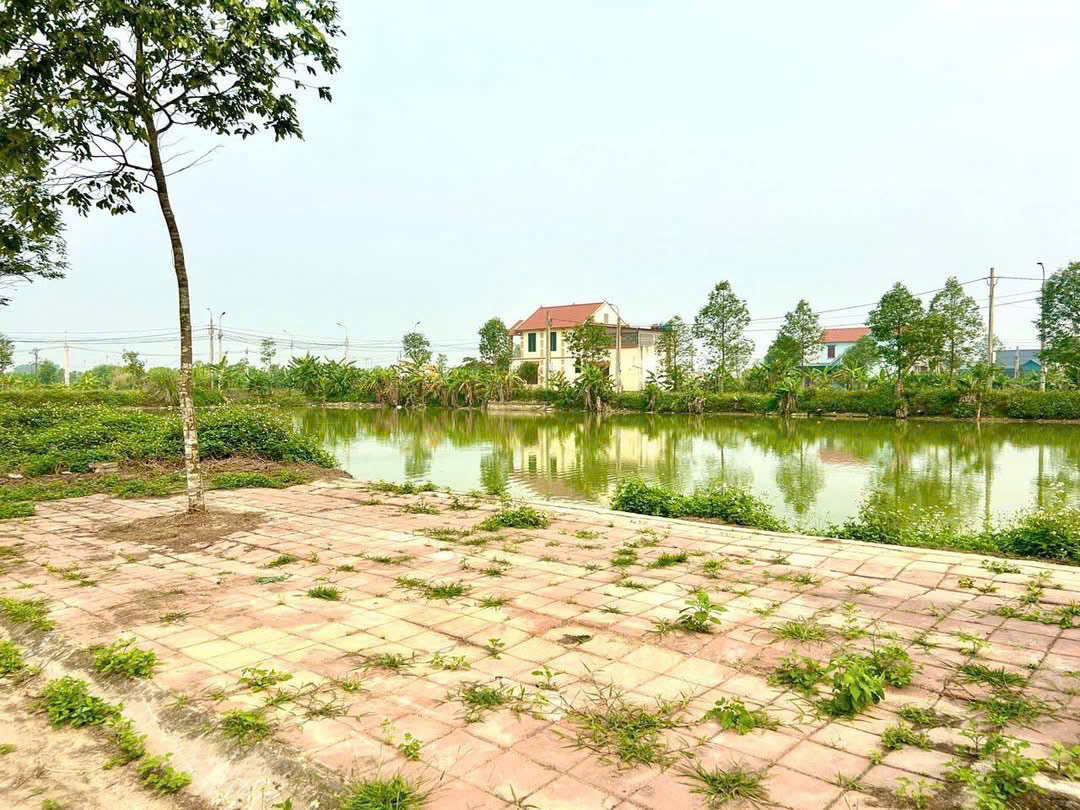 Bán đất mb 2416 Đông Minh Đông Sơn - 163,3m² mặt tiền 7m giá 1,19 tỷ