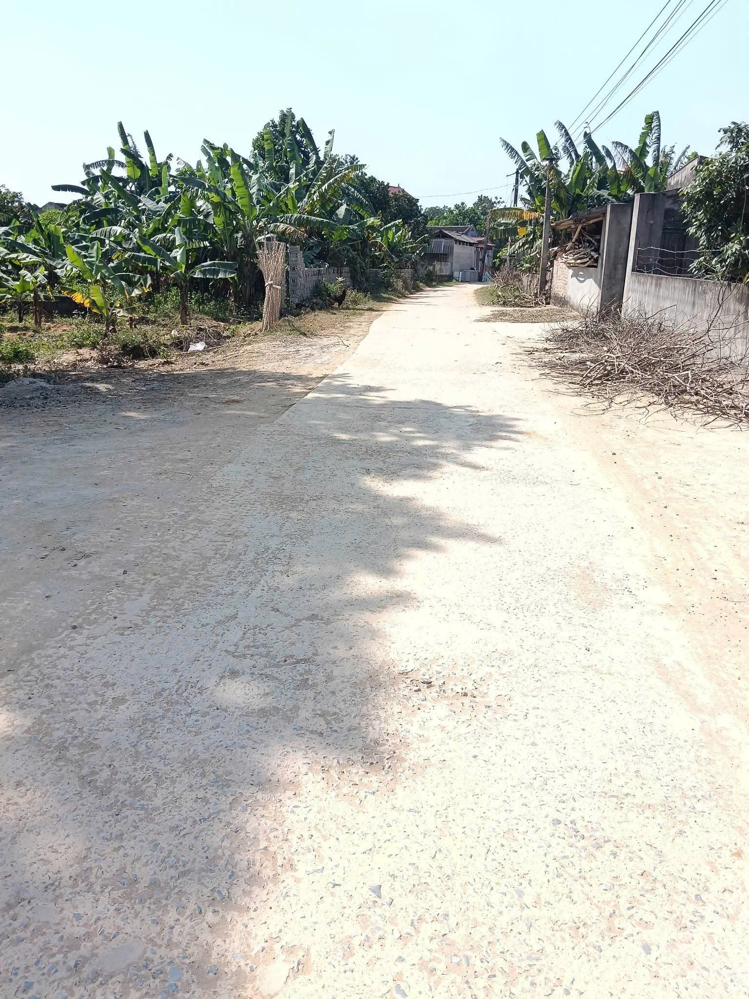 Bán 2 lô đất Thọ Ngọc Triệu Sơn 140m² gần QL47, Sân bay Thọ Xuân - giá từ 5xx triệu