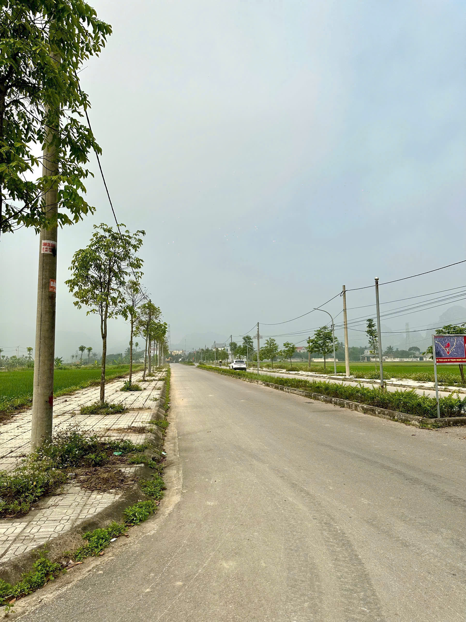 Bán đất mbqh 541 Đông Quang - 125m², mt 5m, đường 17.5m, giá nhỉnh 1 tỷ/lô