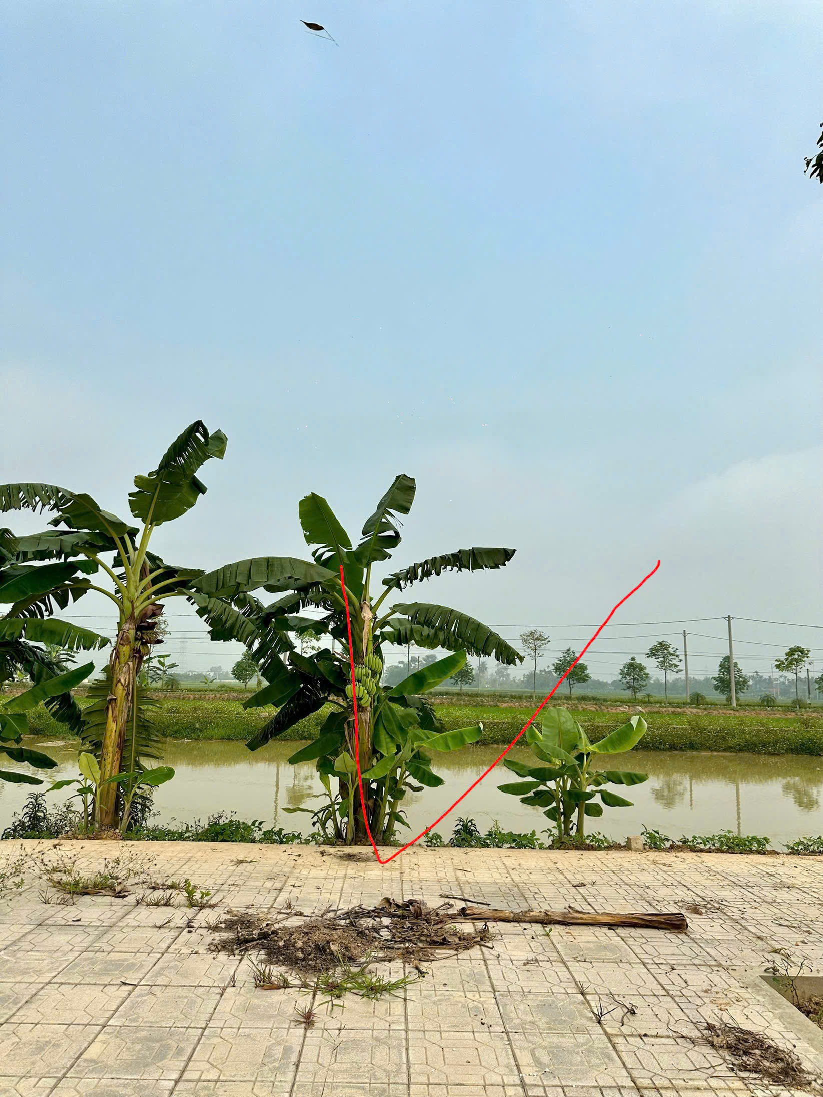 Bán đất mbqh 541 Đông Quang - 125m², mt 5m, đường 17.5m, giá nhỉnh 1 tỷ/lô