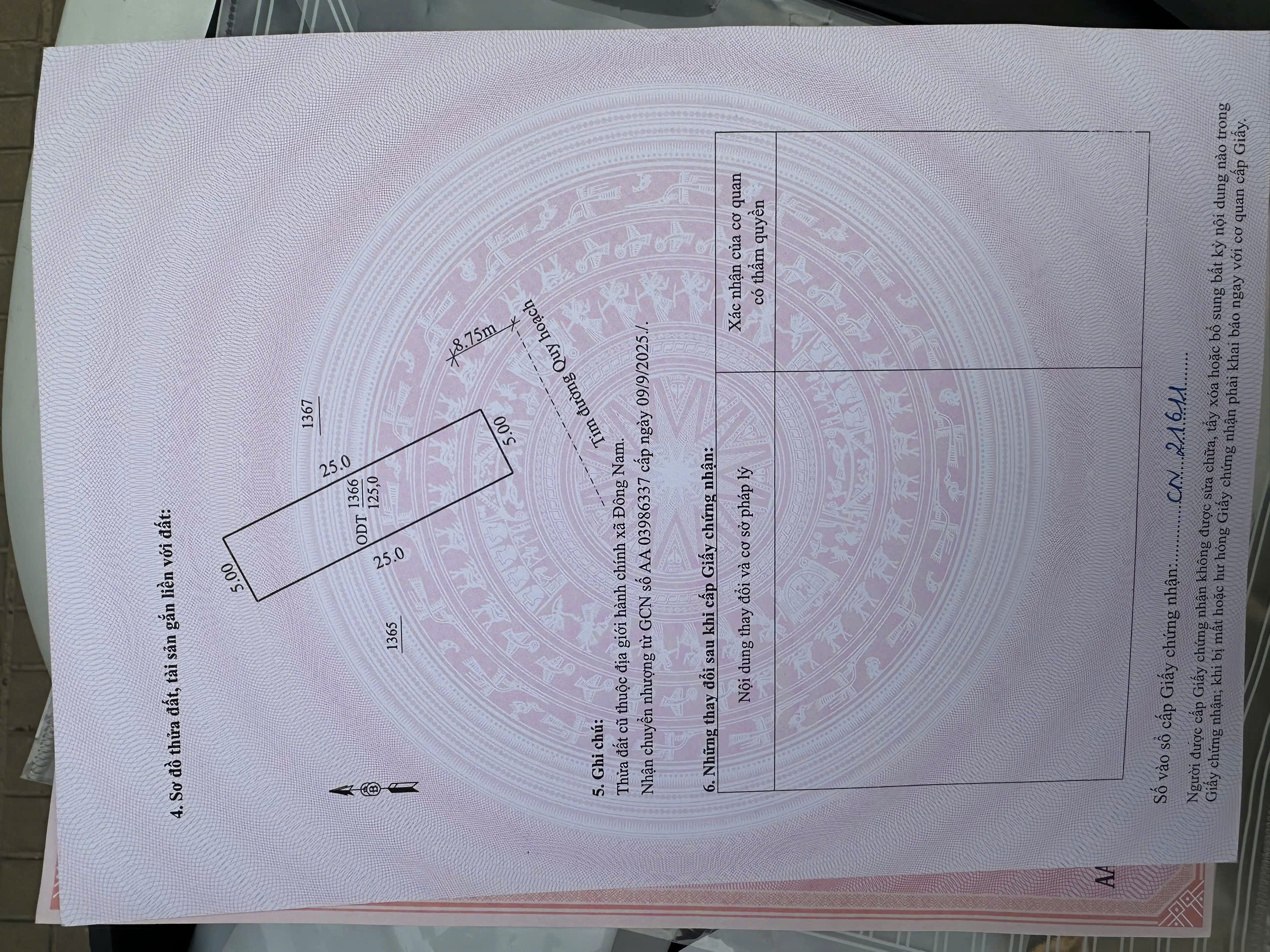 Bán đất mbqh 541 Đông Quang - 125m², mt 5m, đường 17.5m, giá nhỉnh 1 tỷ/lô