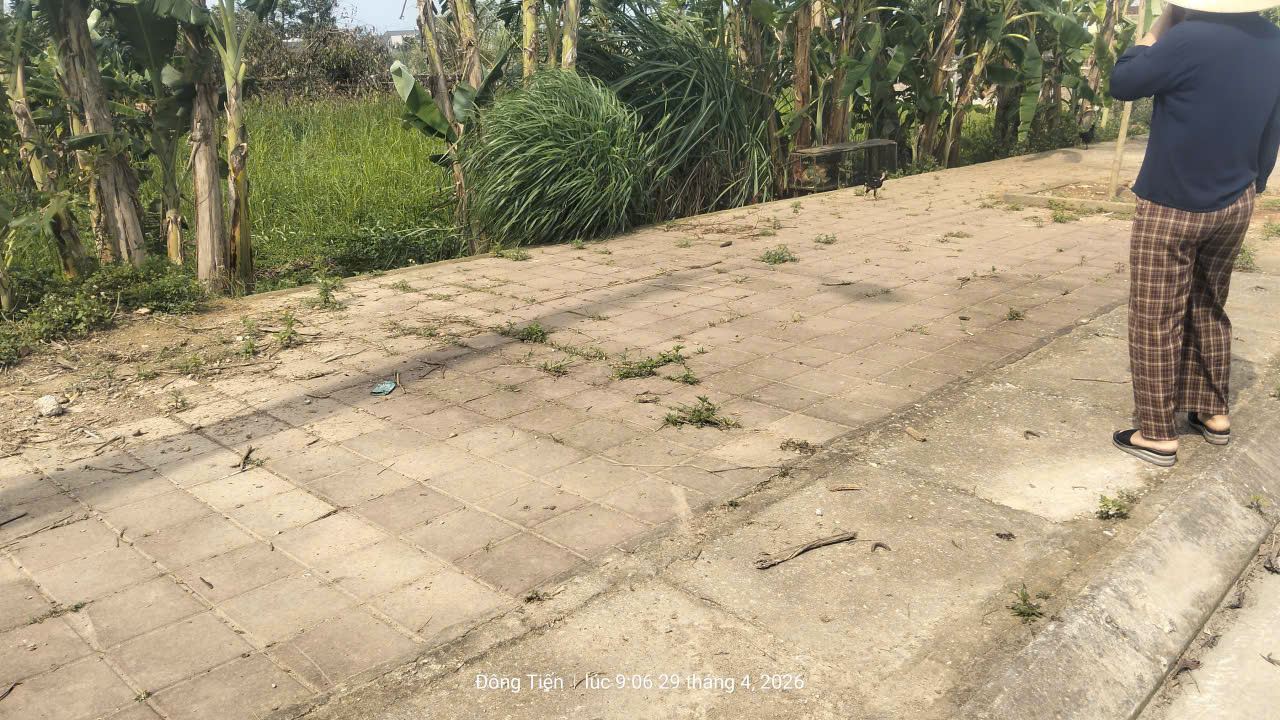 Bán đất mb 1163 Đông Tiến 173m2, mặt tiền 7m - đối diện trường mầm non giá 1,x tỷ