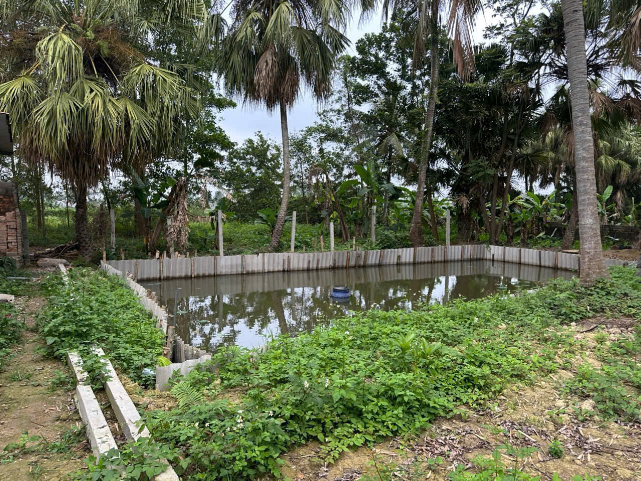 Nhà vườn 615m² Quảng Yên - có nhà 3 gian, ao sen, ô tô vào tận nơi - gần suối nước nóng