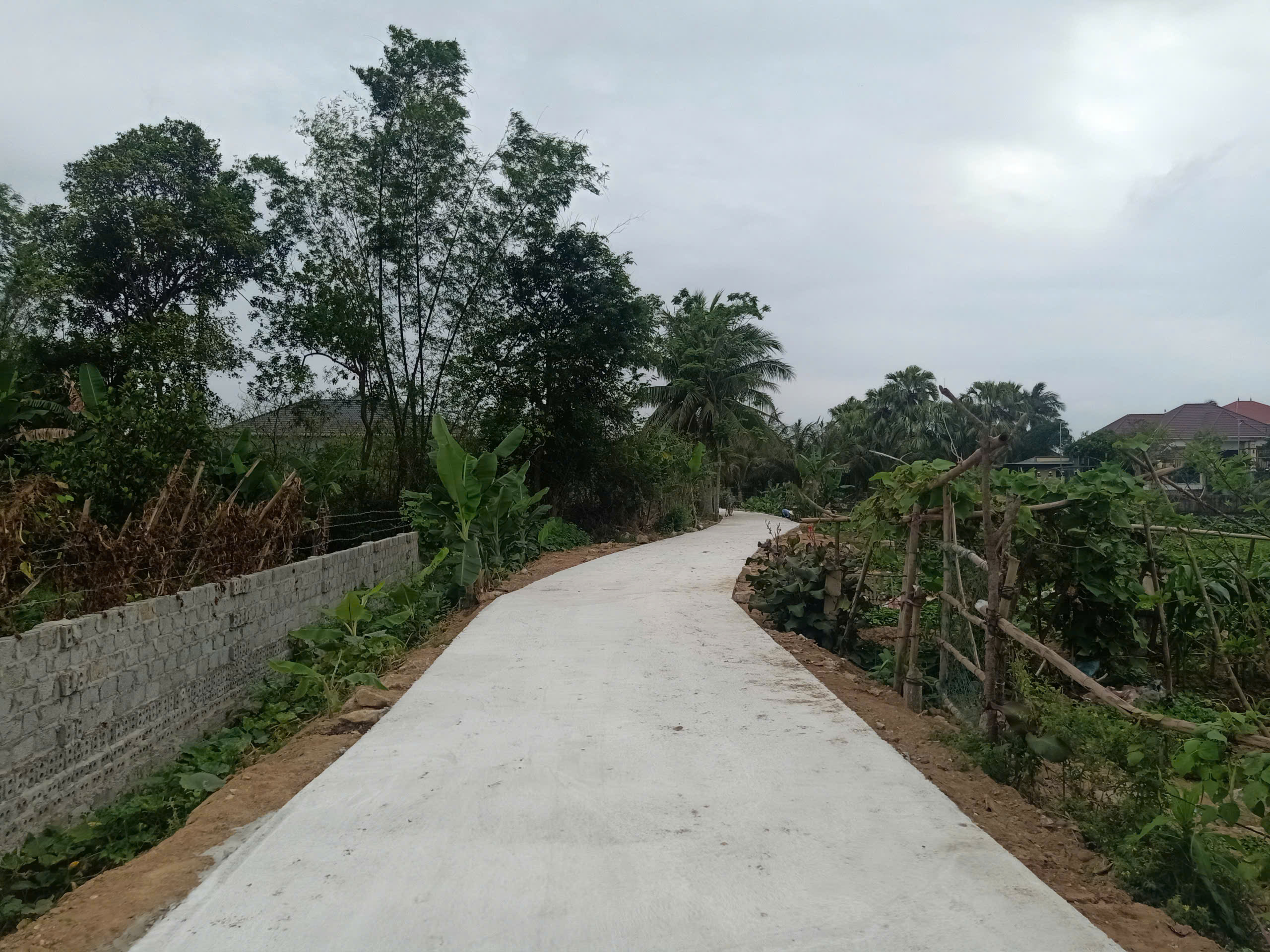 Bán đất Quảng Phú Quảng Xương 202m2 2 mặt tiền gần thpt Nguyễn Hồng Lễ giá 1,2 tỷ