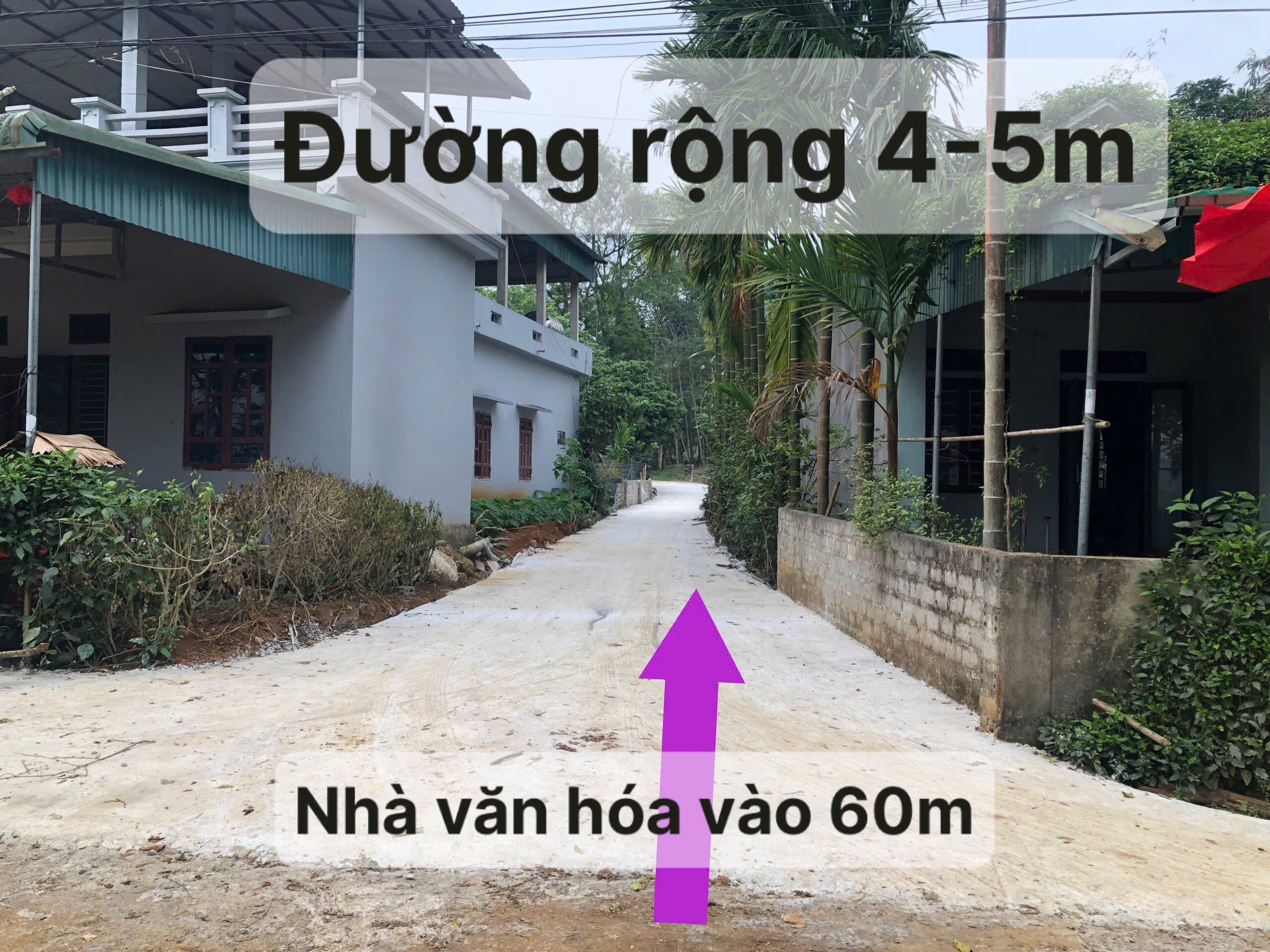 19 lô đất liền kề Mỹ Tân - Ngọc Lặc, 100m²/lô, mặt tiền 5m, đường ô tô tải - giá chỉ từ 82 triệu/lô
