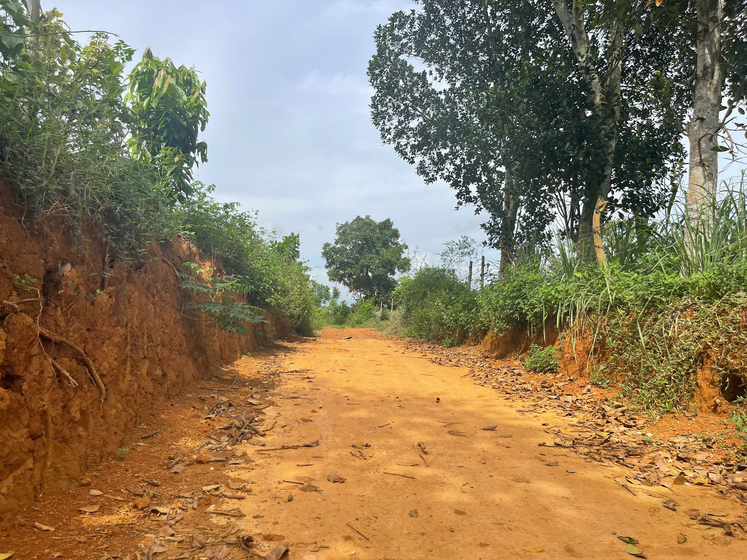 Bán đất trung tâm TT Vân Du Thạch Thành - 300m², mặt tiền 10m, giá chỉ 2xx triệu