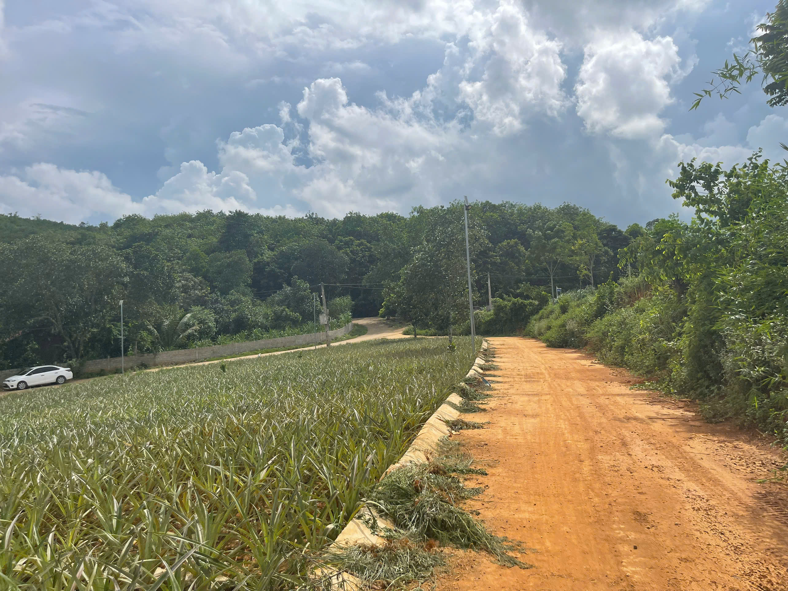 Bán đất trung tâm TT Vân Du Thạch Thành - 300m², mặt tiền 10m, giá chỉ 2xx triệu