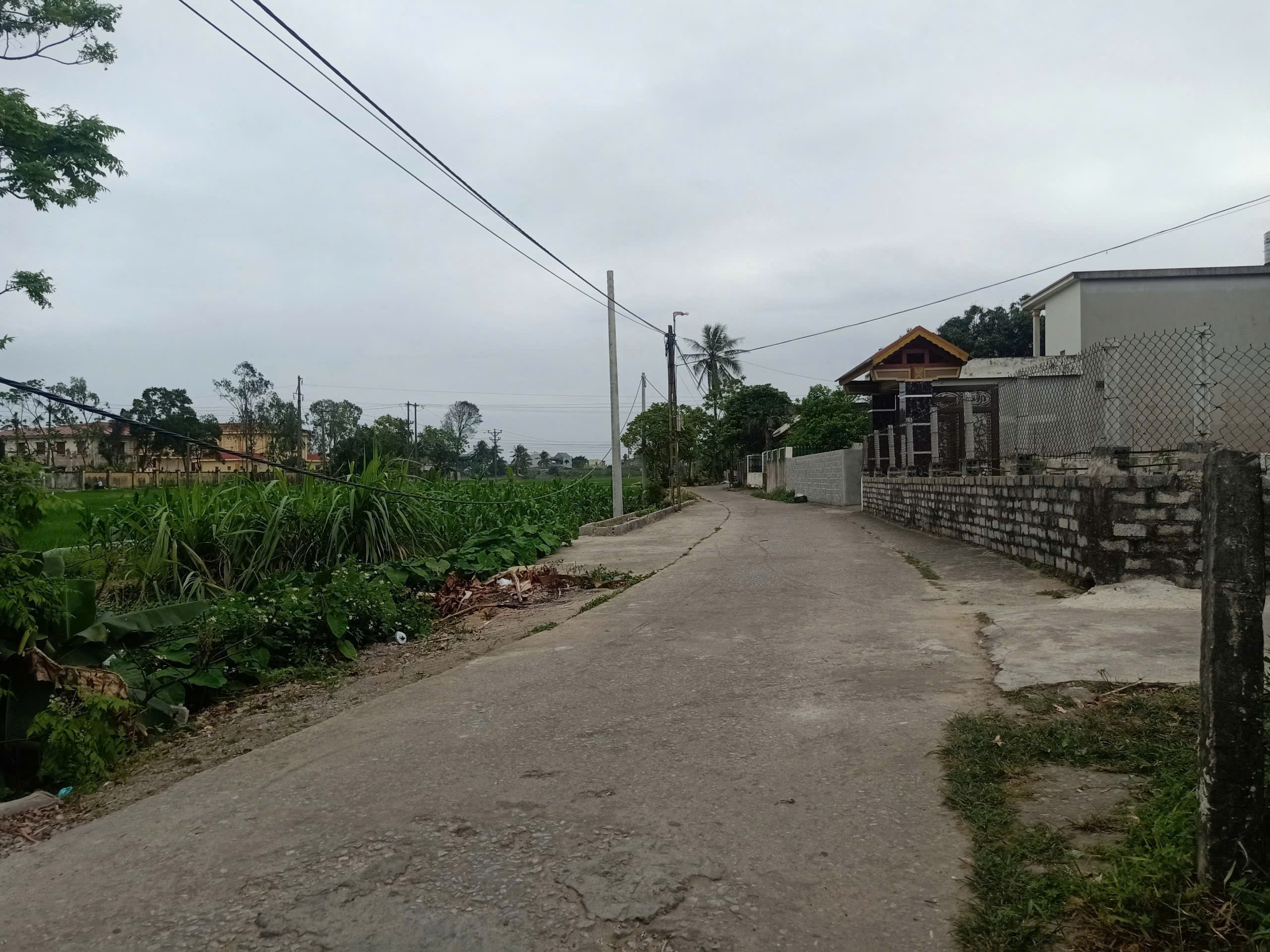 Bán đất Quảng Phú Quảng Xương 202m2 2 mặt tiền gần thpt Nguyễn Hồng Lễ giá 1,2 tỷ