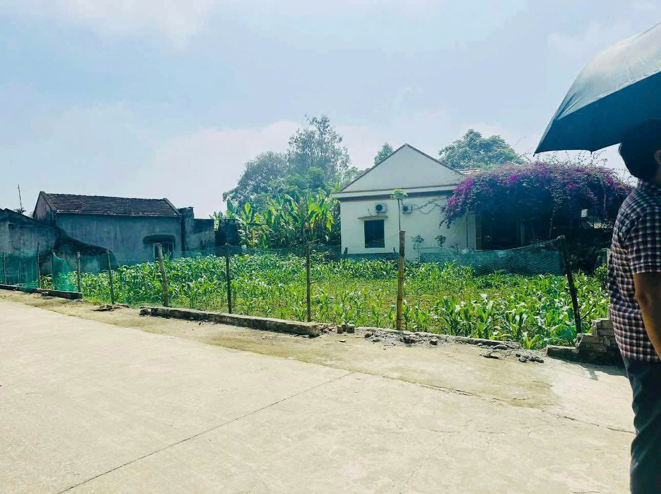 4 lô đất liền kề Dân Quyền Triệu Sơn, 104 - 193m², có 60m² thổ cư, gần trường học - giá chỉ từ 2xx triệu/lô