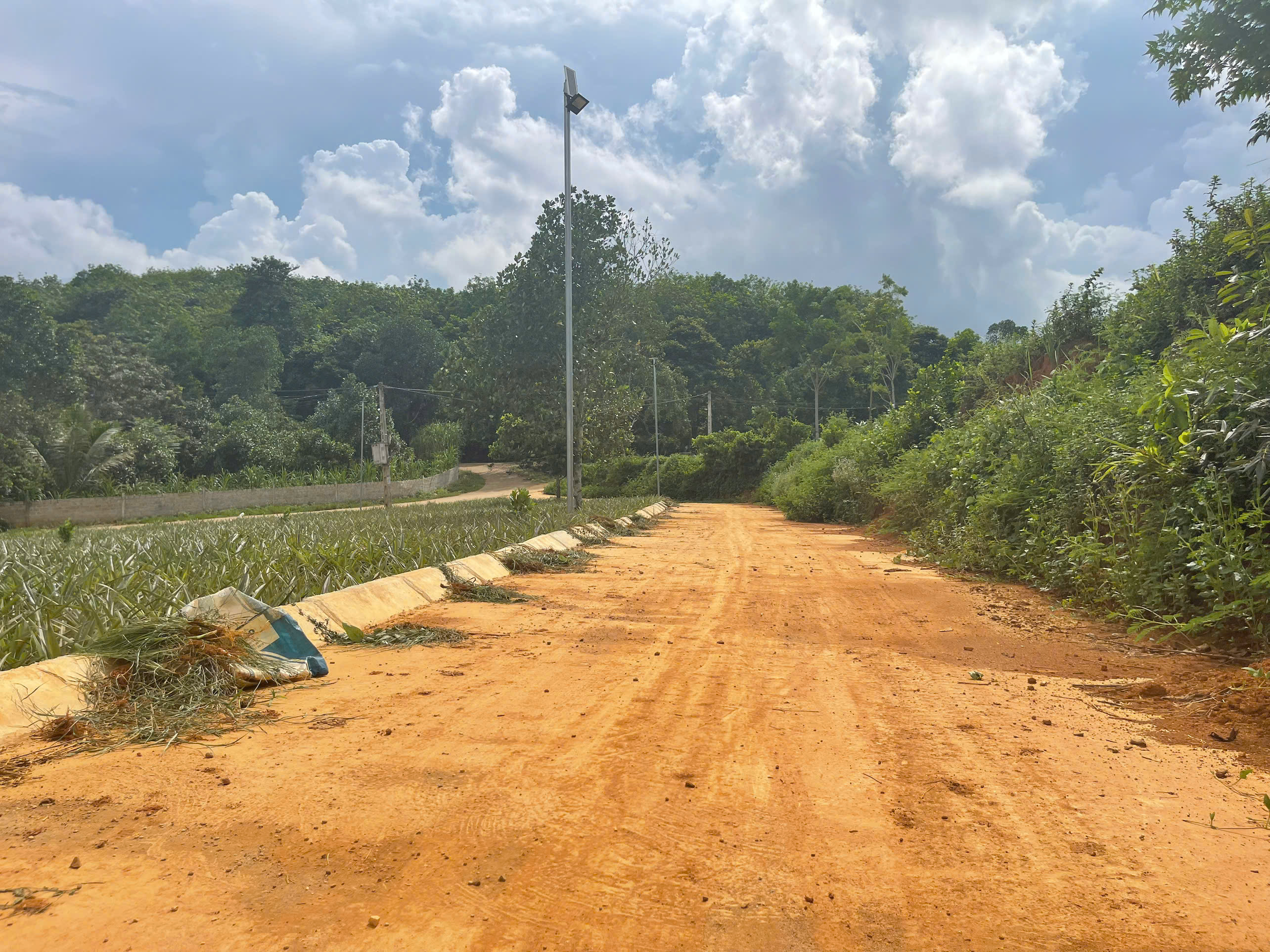 Bán đất trung tâm TT Vân Du Thạch Thành - 300m², mặt tiền 10m, giá chỉ 2xx triệu