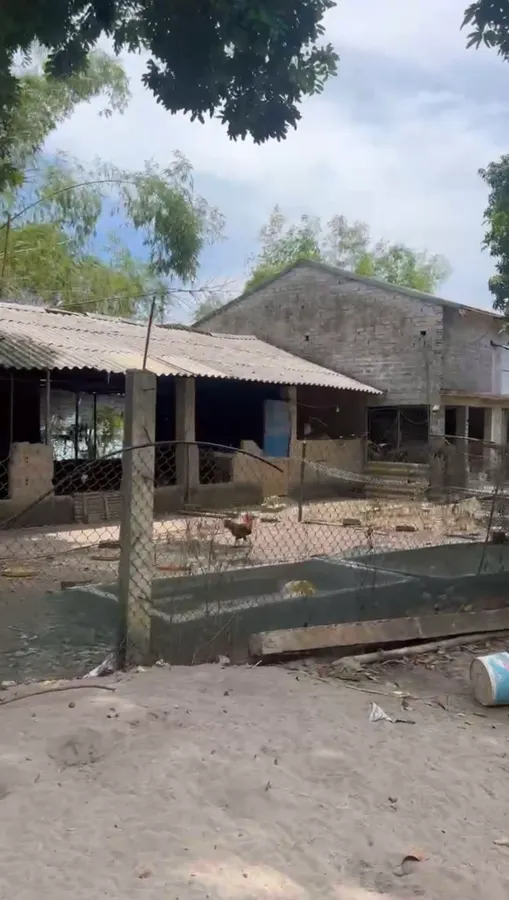 Bán trang trại 3ha tại Yên Định - full mô hình sẵn, có thu nhập, giá 3,7 tỷ