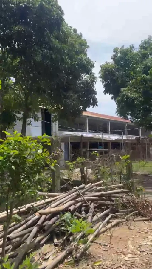 Bán trang trại 3ha tại Yên Định - full mô hình sẵn, có thu nhập, giá 3,7 tỷ