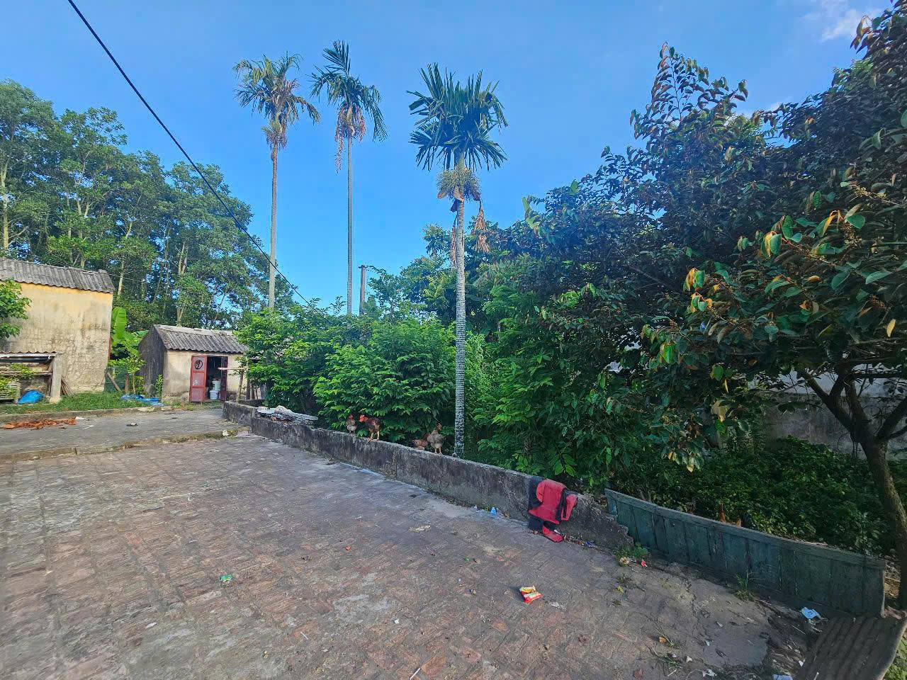 Đất vườn 1750m2 mặt tiền 10m đường Thanh Niên Quảng Ninh Quảng Xương - giá 3.8 tỷ