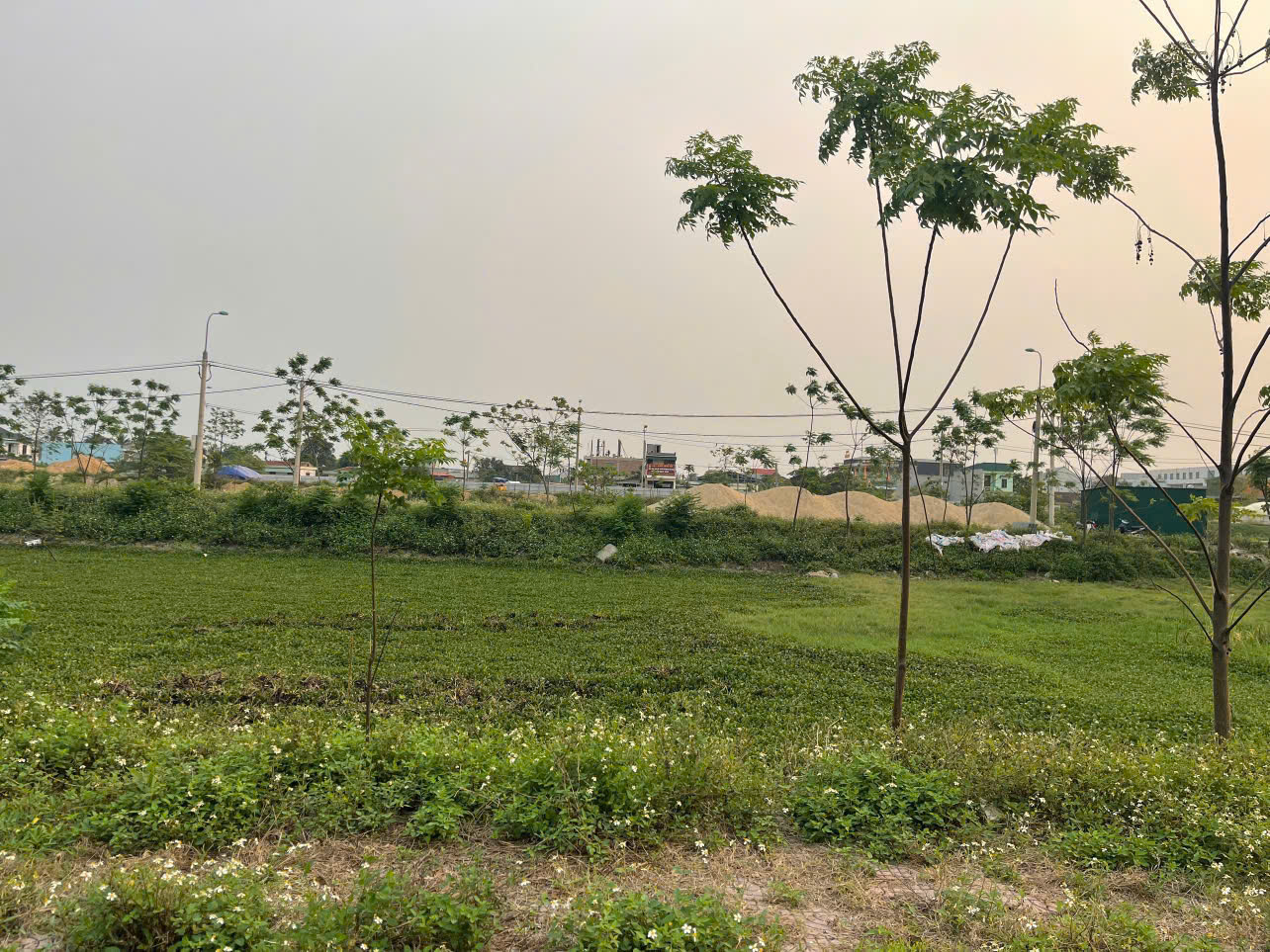 Đất mbqh 8197 Quảng Phú 90m² - sát đại lộ Nam Sông Mã - giá 1,55 tỷ