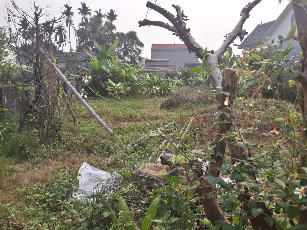 Đất Đông Ninh Đông Sơn 684,7m2 mặt tiền 16,45m - đất rộng hiếm, giá nhỉnh 2 tỷ