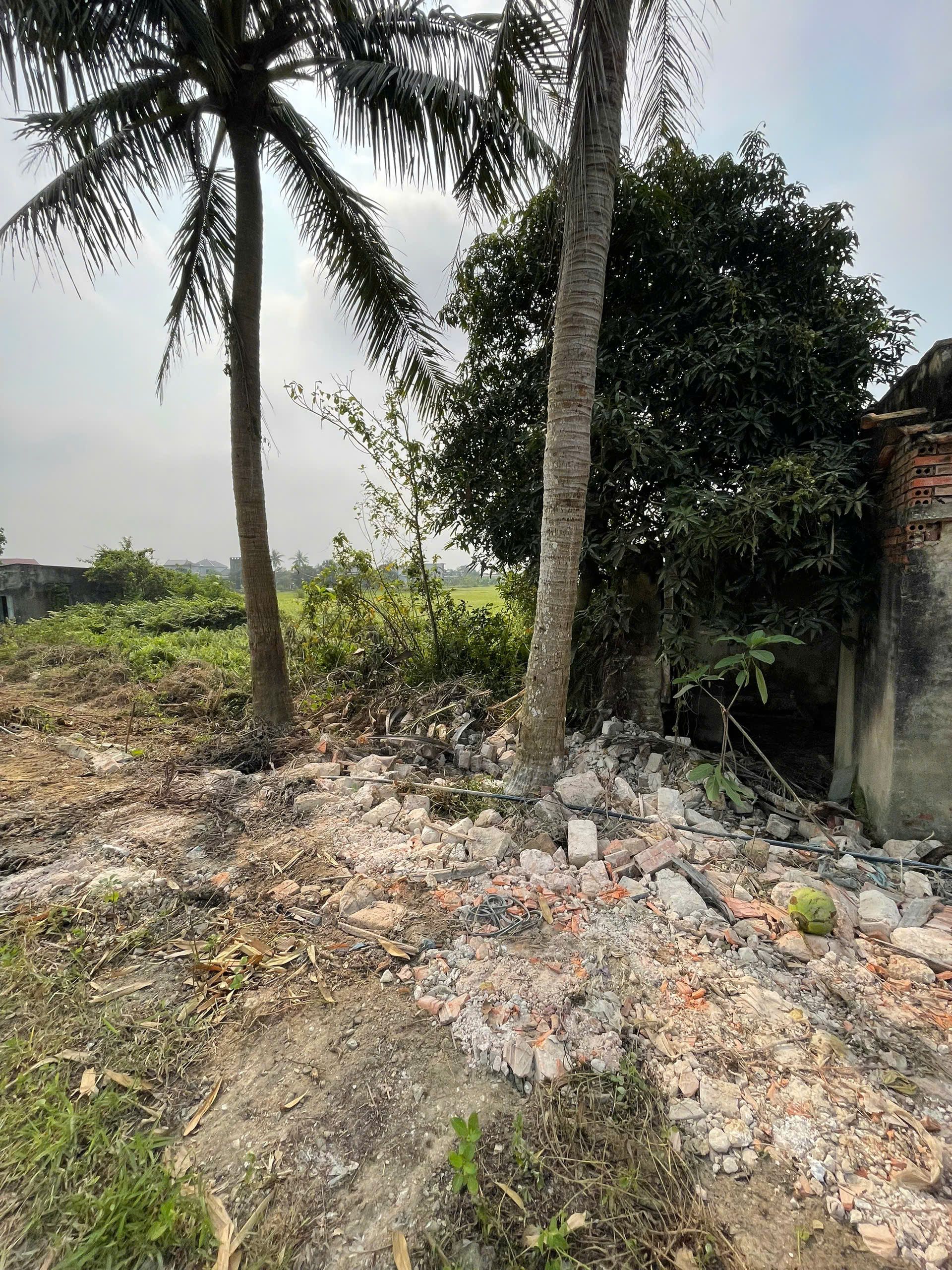 Bán đất Quảng Thịnh 1178m² mặt tiền 103,5m view sông - giá 7 triệu/m², tiềm năng phân lô cực tốt