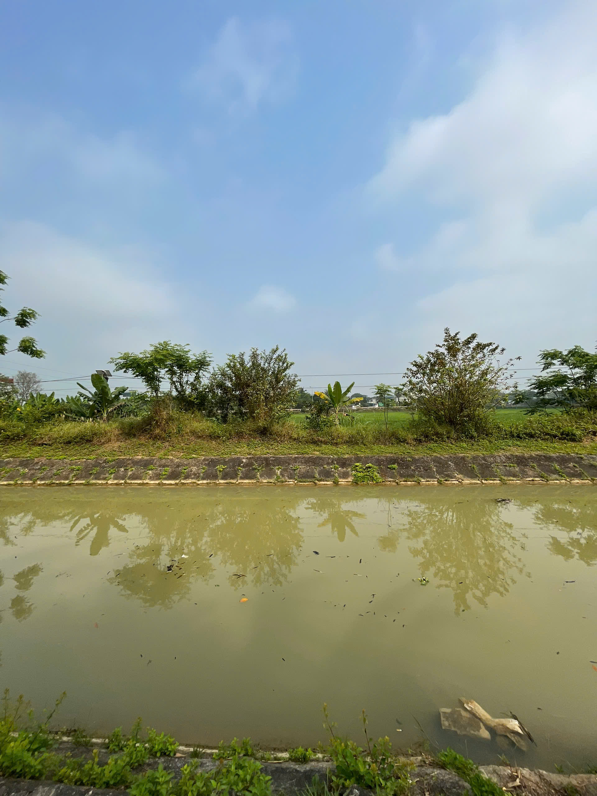 Bán đất Quảng Thịnh 1178m² mặt tiền 103,5m view sông - giá 7 triệu/m², tiềm năng phân lô cực tốt