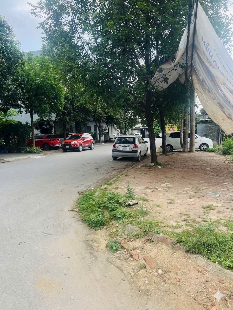 Bán đất