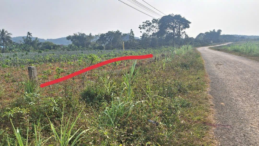 Bán 2 lô đất liền kề xã Thành Tân, Thạch Thành - 150m²/lô, chỉ từ 2xx triệu