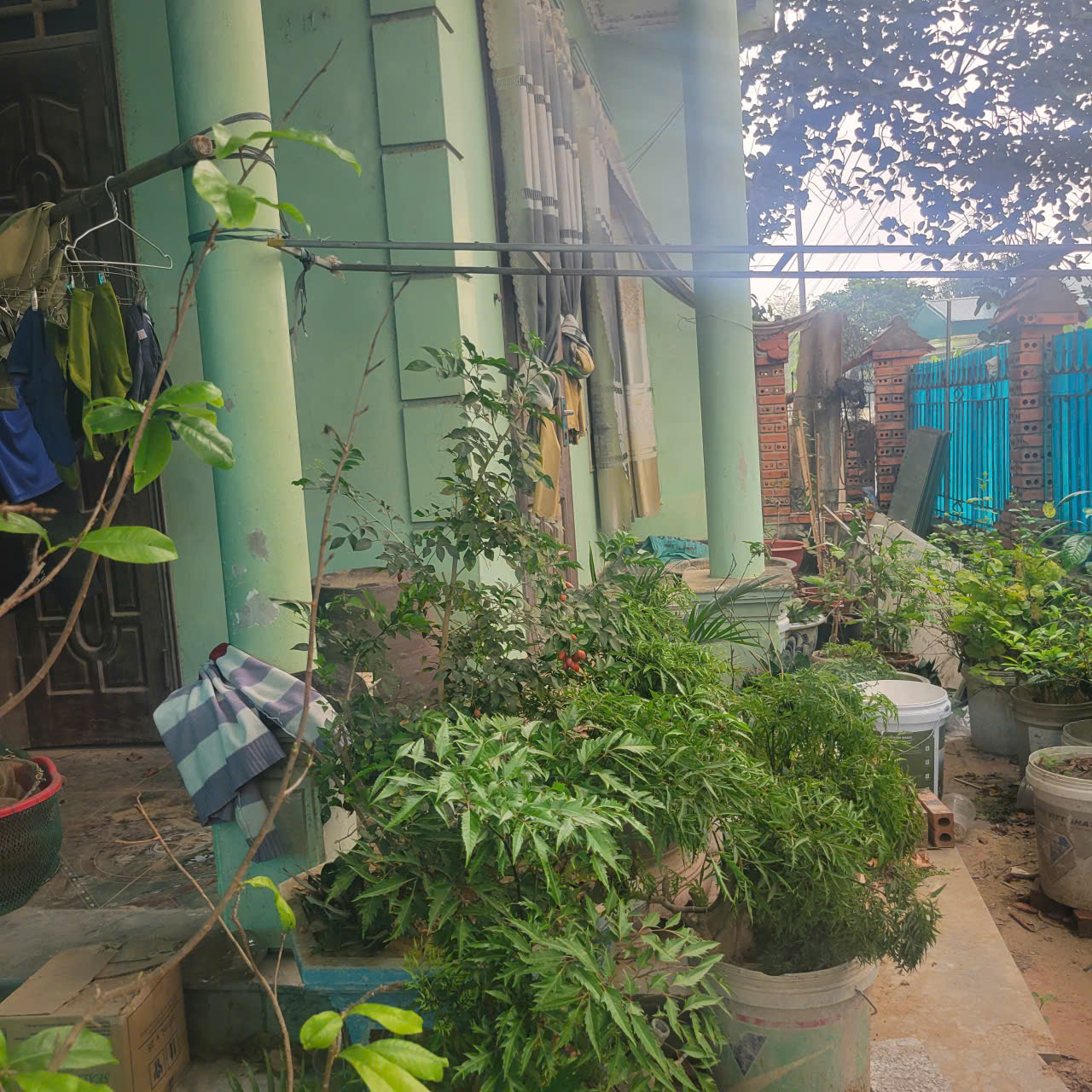 Bán đất Quảng Thái 225m² mặt tiền 20m trục đường 4c - gần biển chỉ 1km, tặng nhà 2 tầng