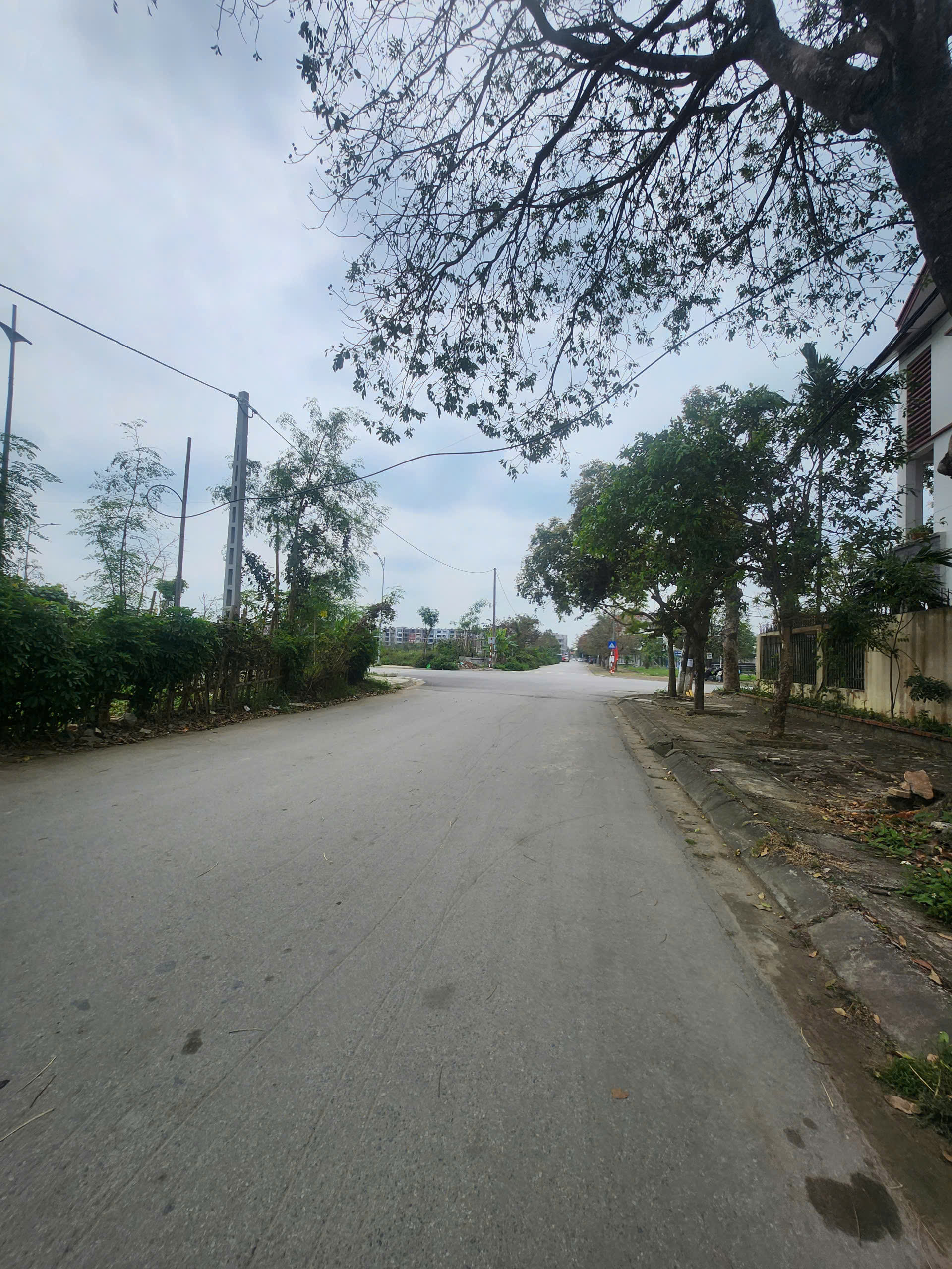 Bán đất view công viên phường Đông Vệ - 72m² mặt tiền 4,5m - vị trí trung tâm cực hiếm