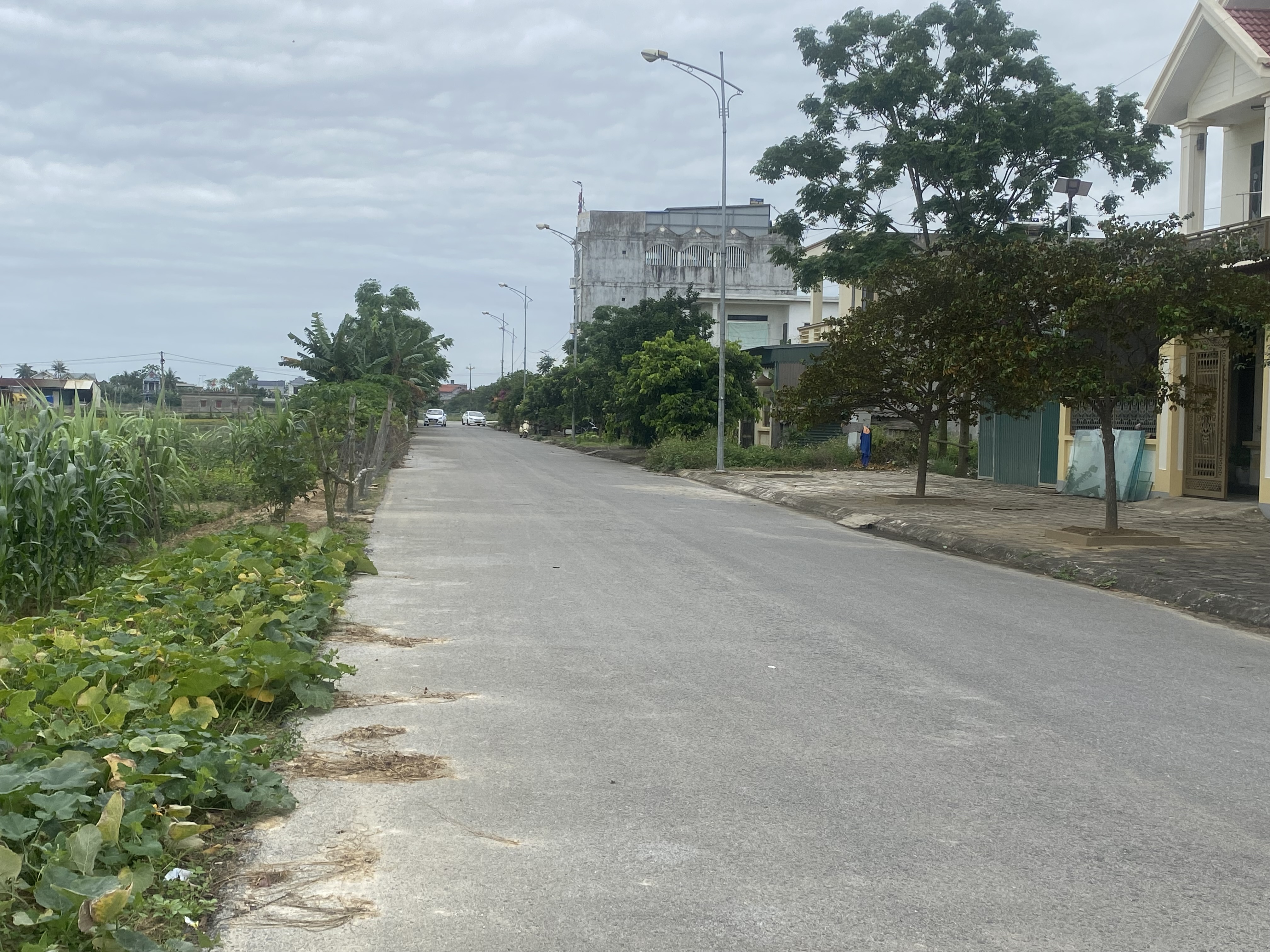 Khu tái đinh cư tây sơn 3 phường quảng châu