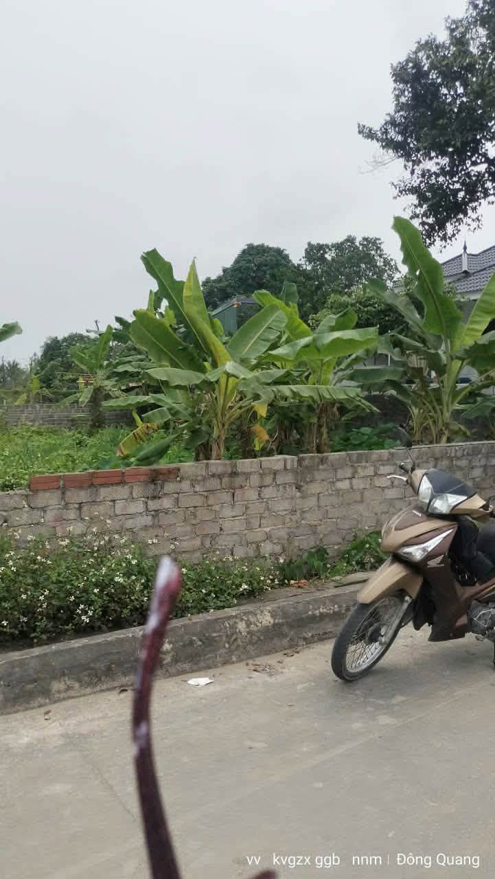 Bán đất Đông Quang Thanh Hóa 200m² sổ đỏ, thực tế 360m², mặt tiền 12m giá chỉ 1,2xx tỷ