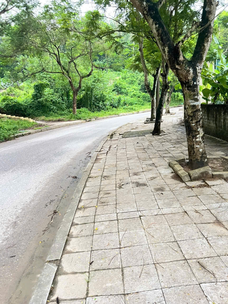 Đất mặt tiền 23m Trịnh Thế Lợi phường Hàm Rồng - 250m², thực tế hơn 336m², giá hơn 3 tỷ