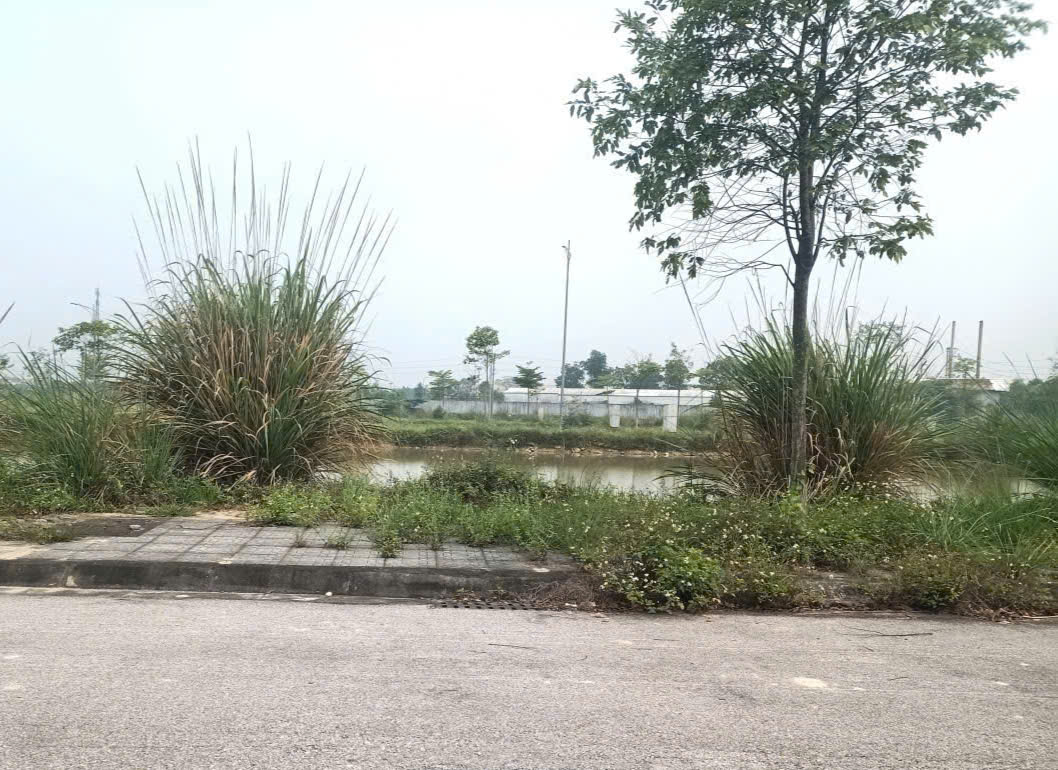 Bán đất lk2 mb 650 Đông Khê - 90m², mặt tiền 5m, đường 7,5m, giá chỉ 1,15 tỷ