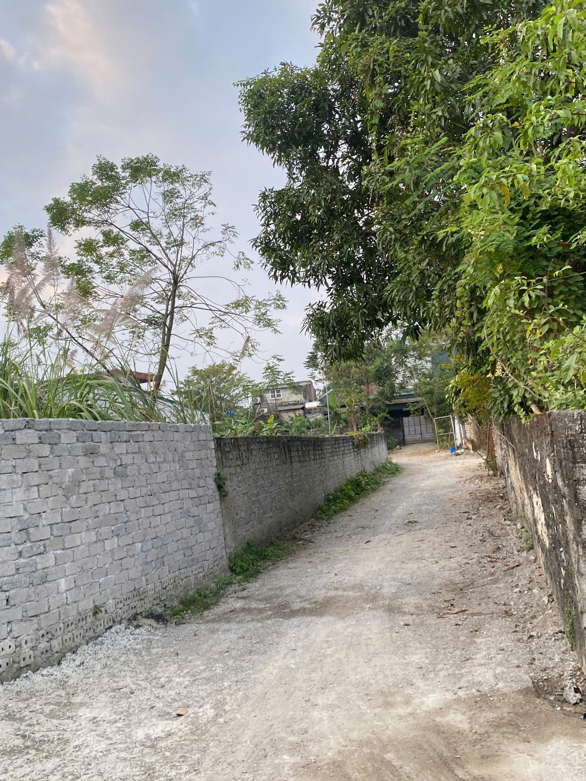 Đất phố Quan Sơn gần ngã 5 Nhồi, 58m², ô tô cách 7m, chỉ 820 triệu