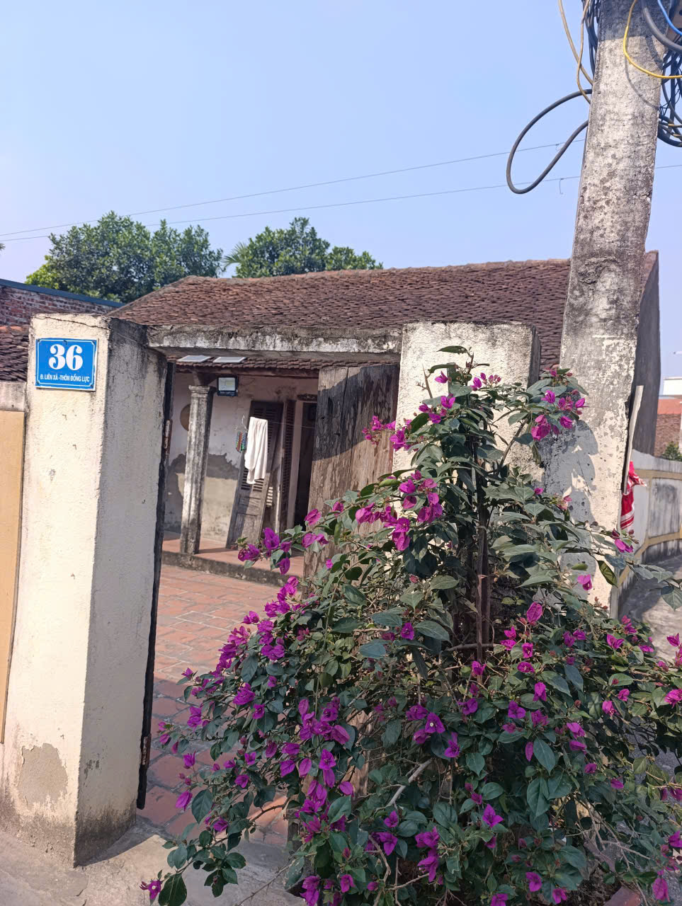 Bán đất 125m2 tặng nhà cấp 4 tại Thiệu Giao, Đông Tiến TP Thanh Hóa - Sổ hồng, đường 8m