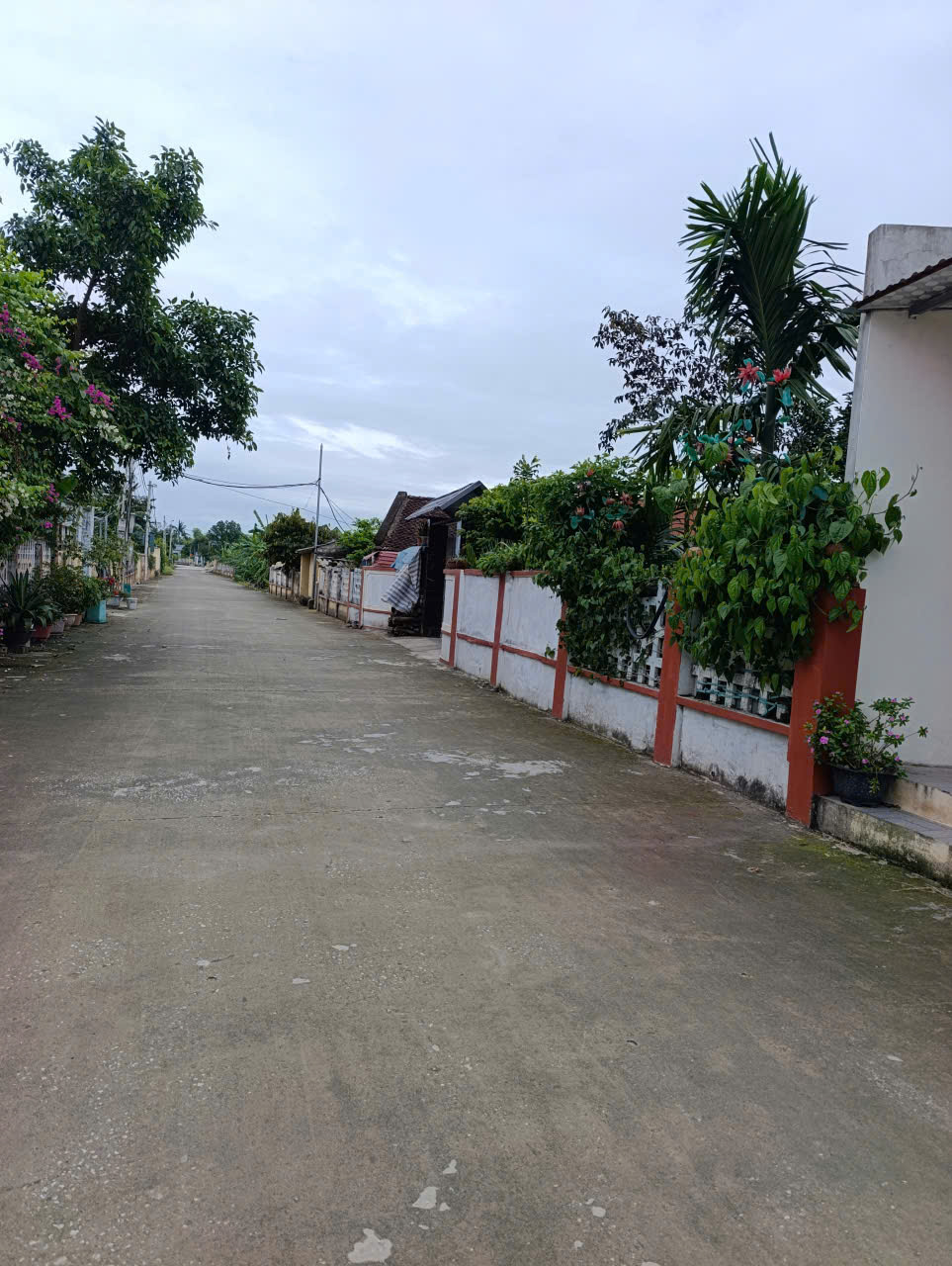 Bán đất Đông Hòa Đông Sơn Thanh Hóa 219m2, mặt tiền 8m, đường ô tô tránh 10m
