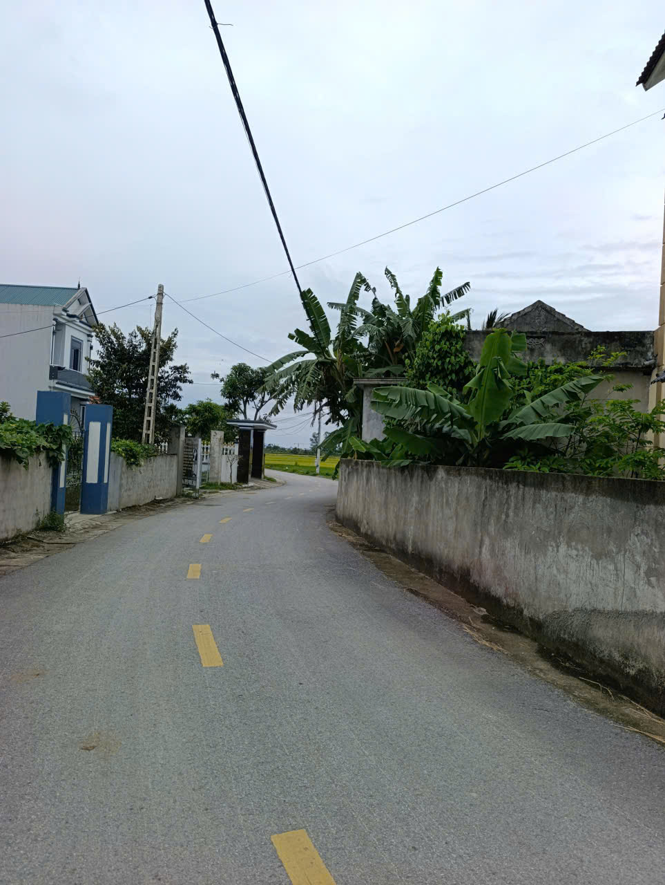 Bán đất Đông Hòa Đông Sơn Thanh Hóa 219m2, mặt tiền 8m, đường ô tô tránh 10m