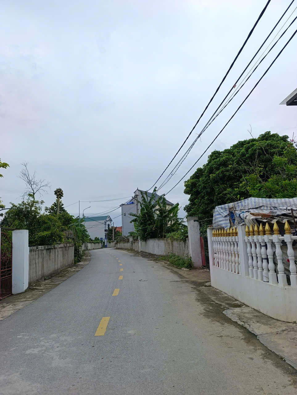 Bán đất Đông Hòa Đông Sơn Thanh Hóa 219m2, mặt tiền 8m, đường ô tô tránh 10m