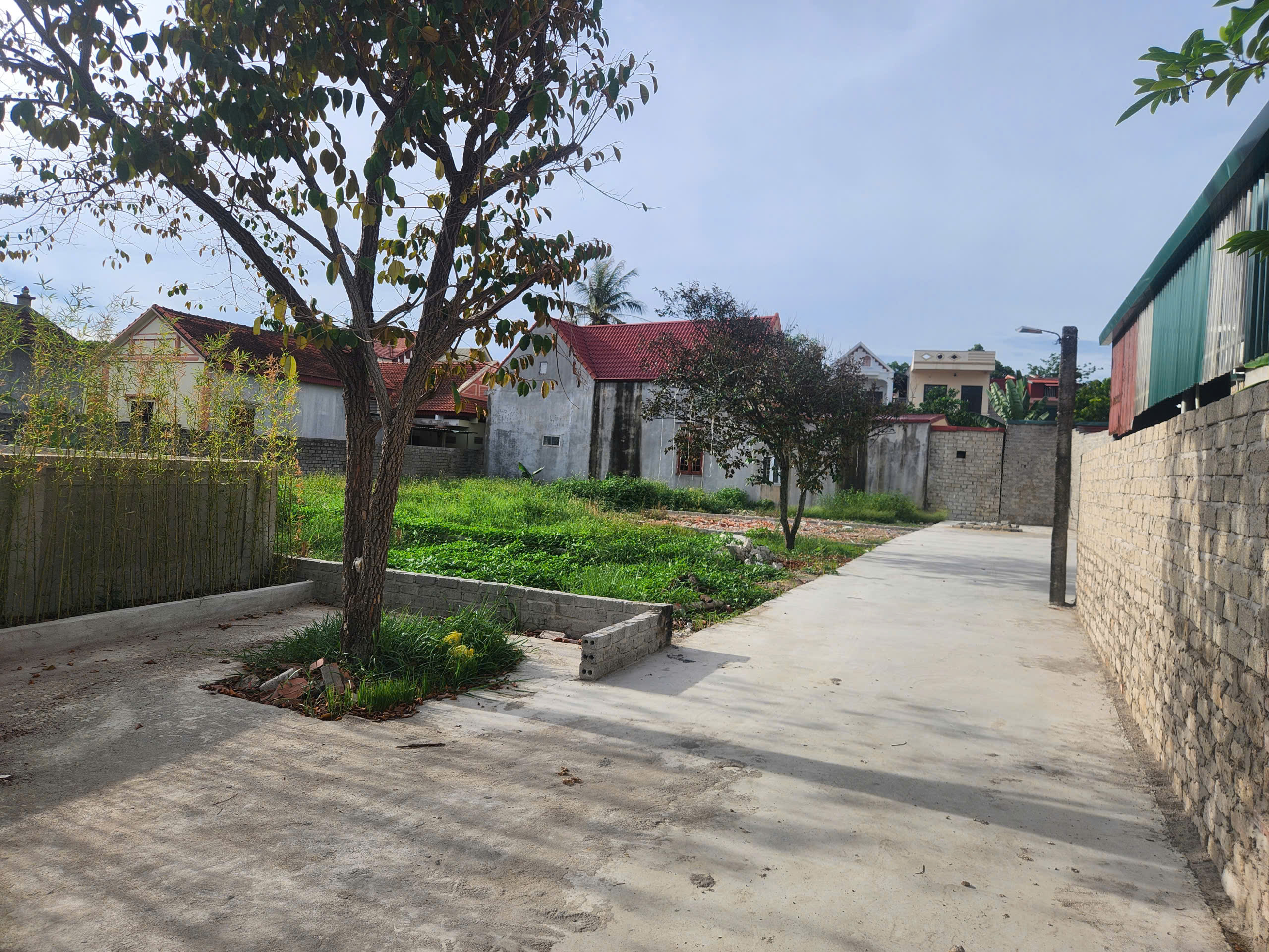 Bán Đất 600m2 Gần QL1A Tân Phong Quảng Xương, Sổ Hồng, Giá 2,8 Tỷ