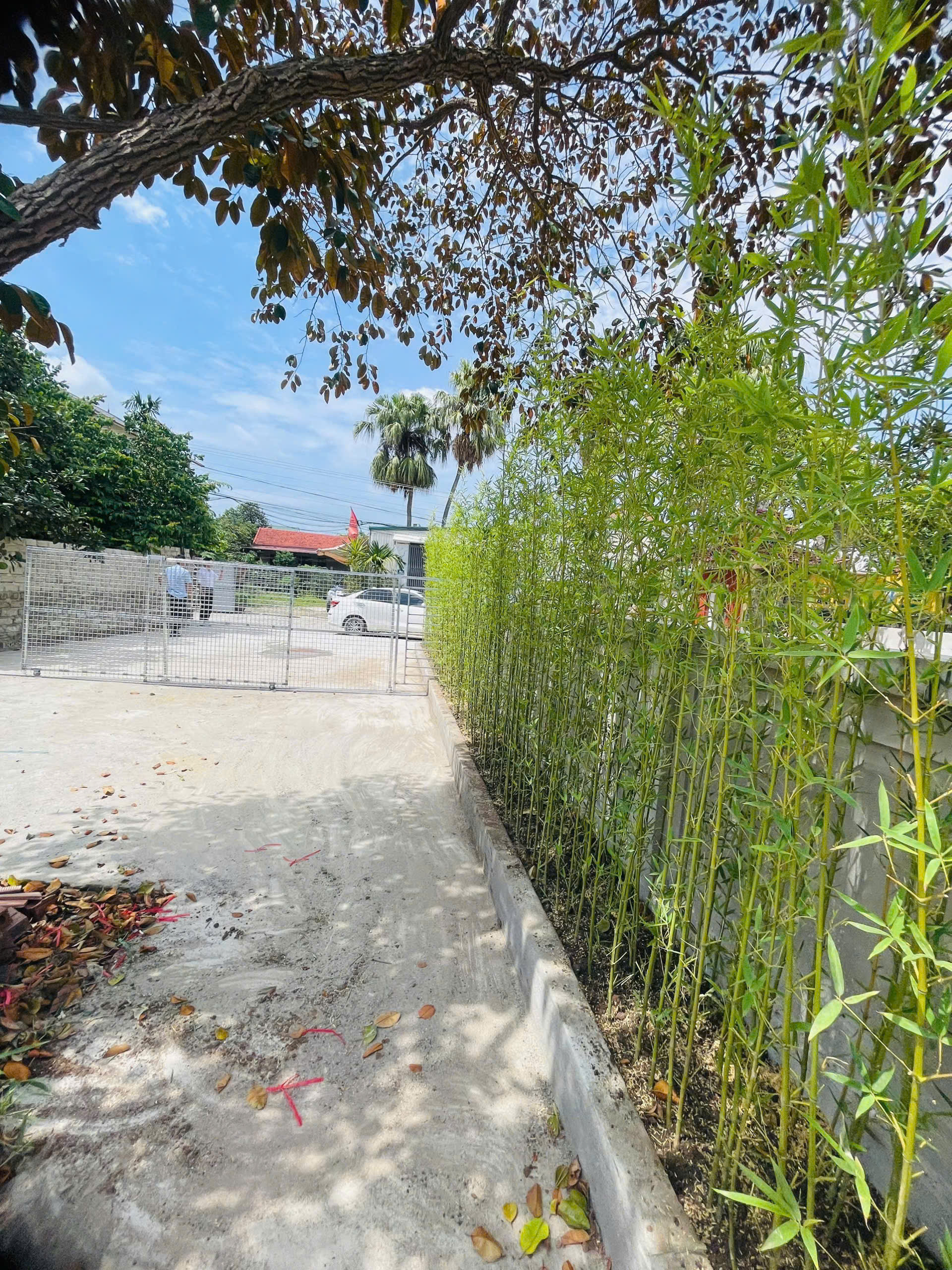 Bán Đất 600m2 Gần QL1A Tân Phong Quảng Xương, Sổ Hồng, Giá 2,8 Tỷ