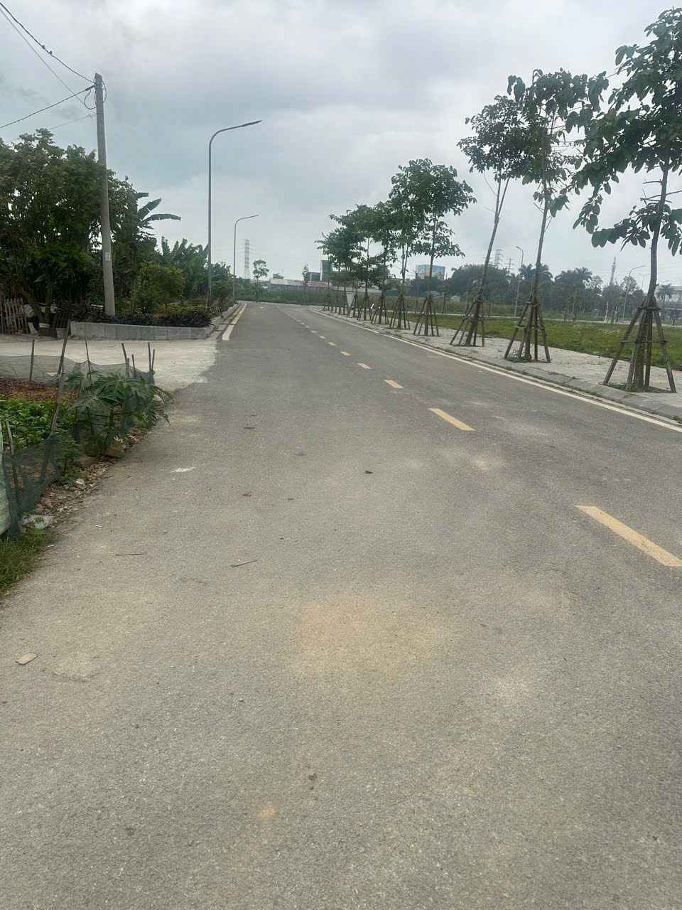 Bán đất 100m2 mặt tiền 4m tại phố 2, Quảng Hưng, sau nhà hàng Vũ Bảo, gần KCN Lễ Môn giá 2,5 tỷ
